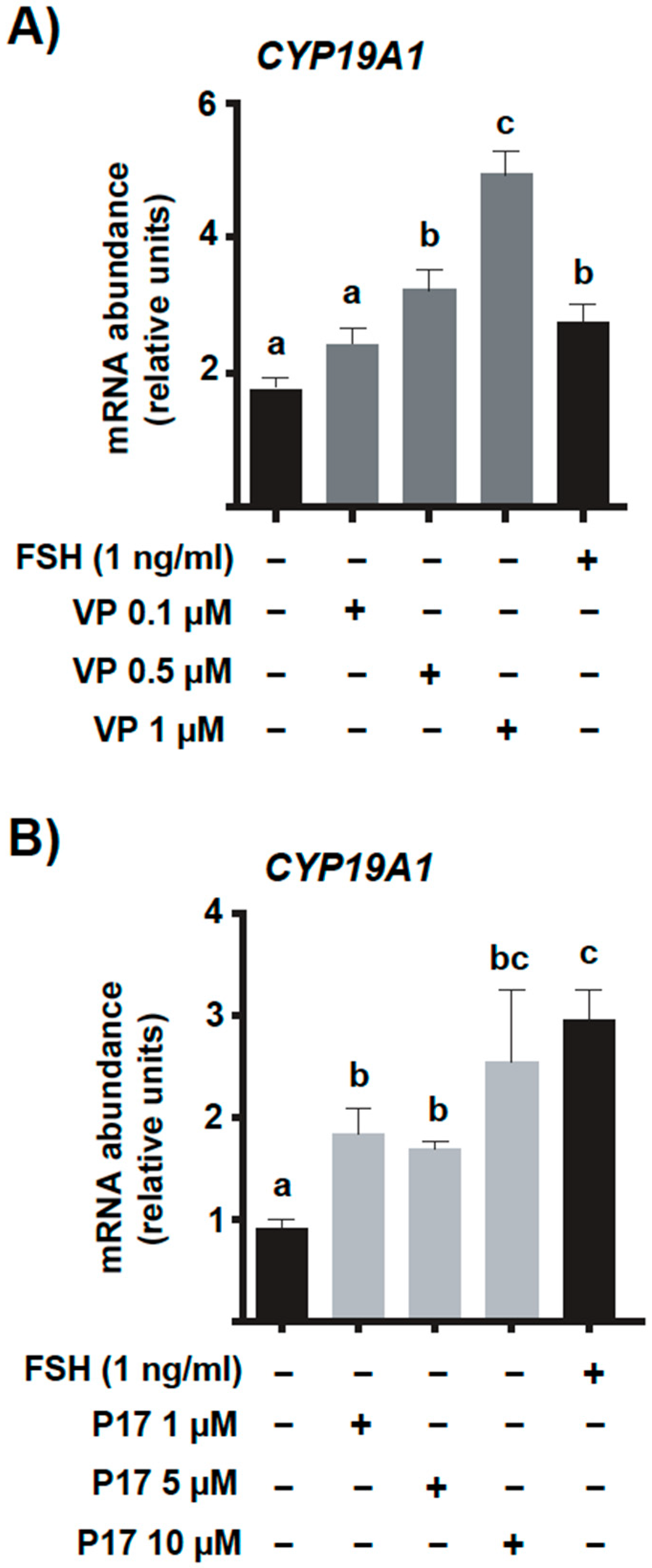 Ijms 23 14160 g006 Ijms 23 14160 g006