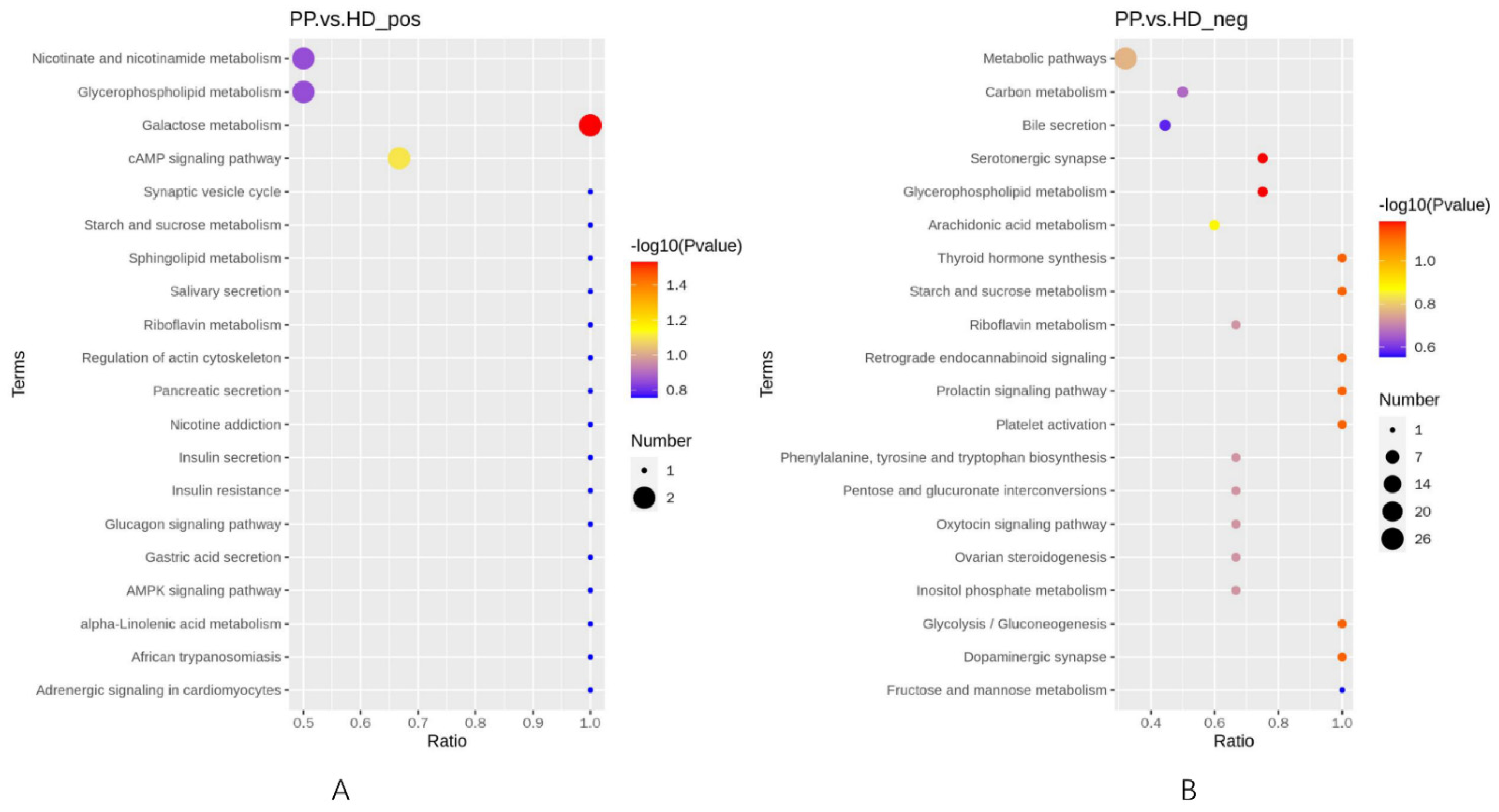 Ijms 23 14161 g005 Ijms 23 14161 g005