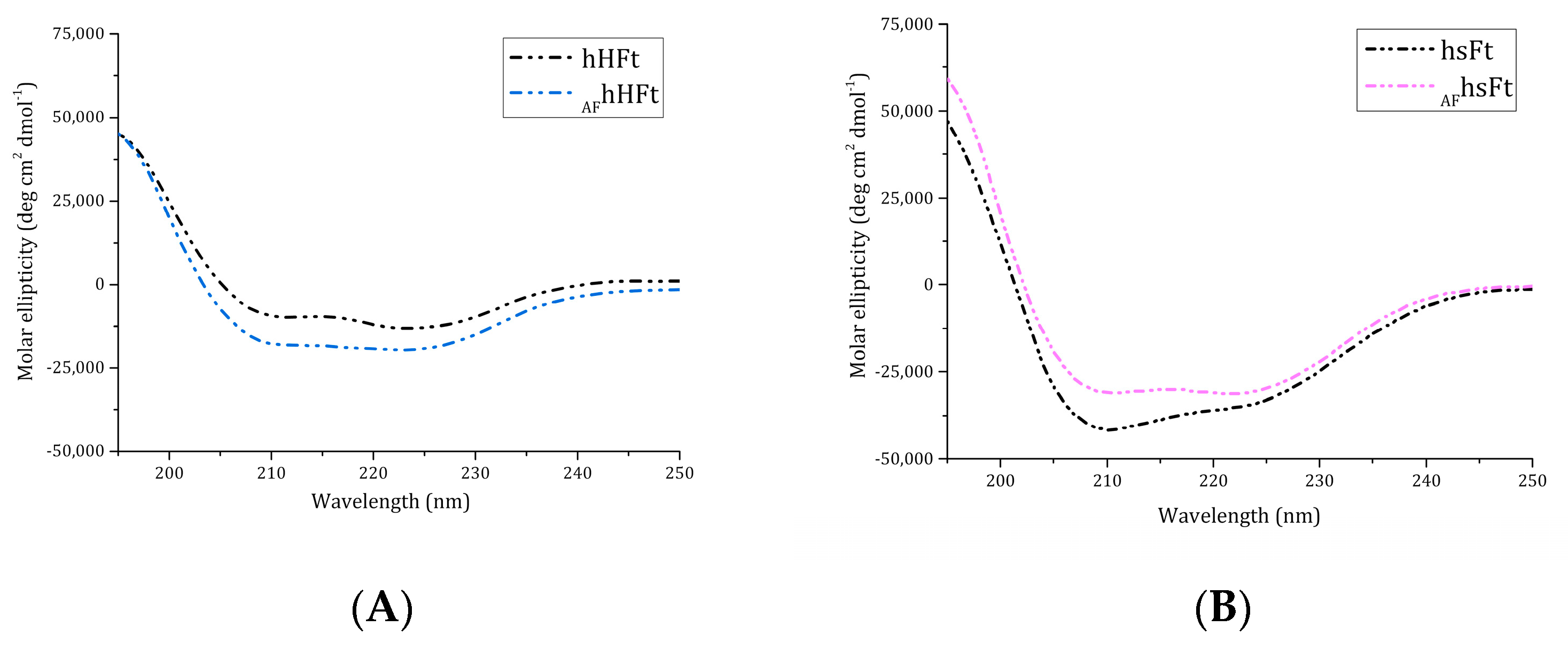 Ijms 23 14162 g002 Ijms 23 14162 g002