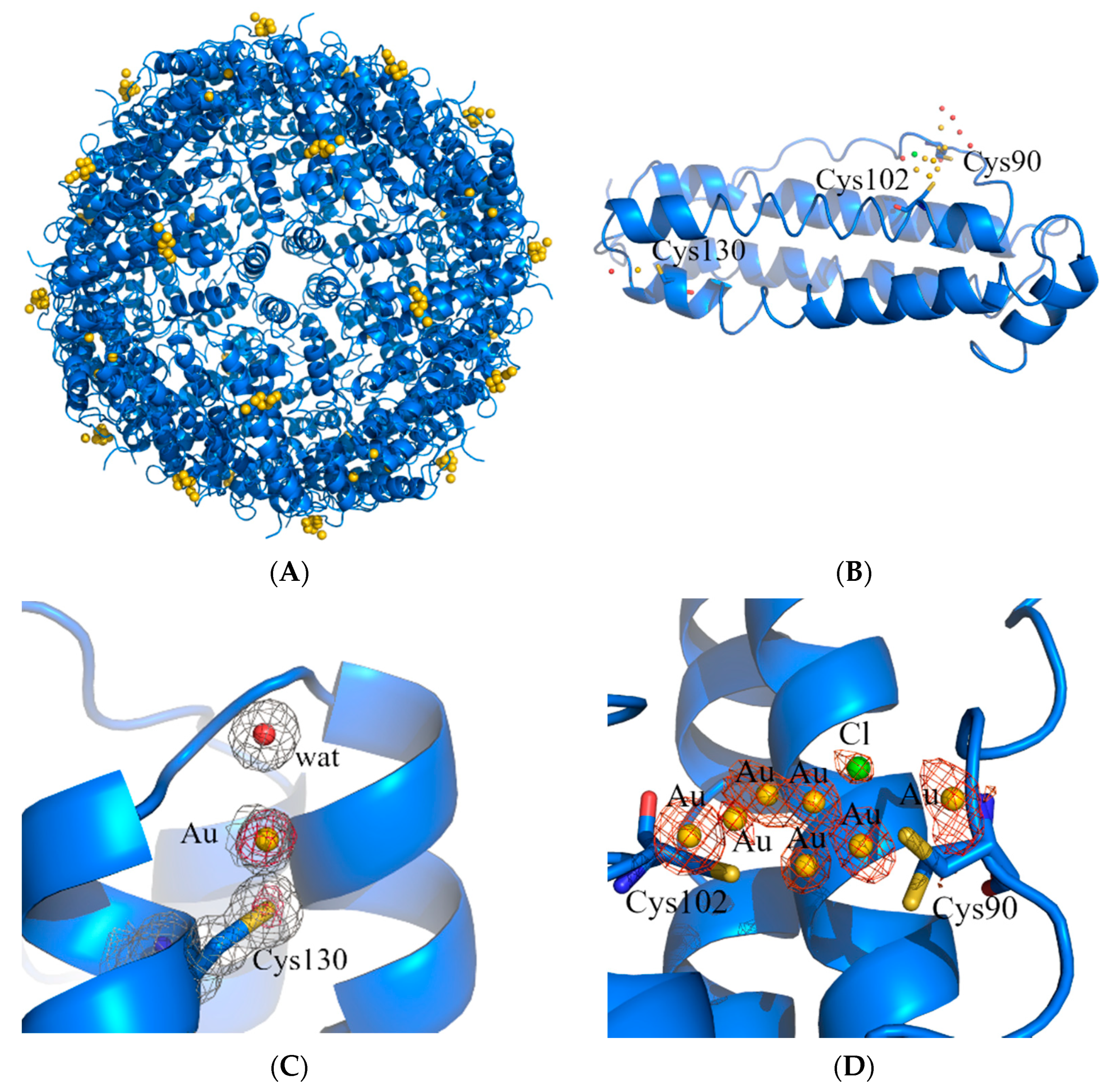 Ijms 23 14162 g004 Ijms 23 14162 g004