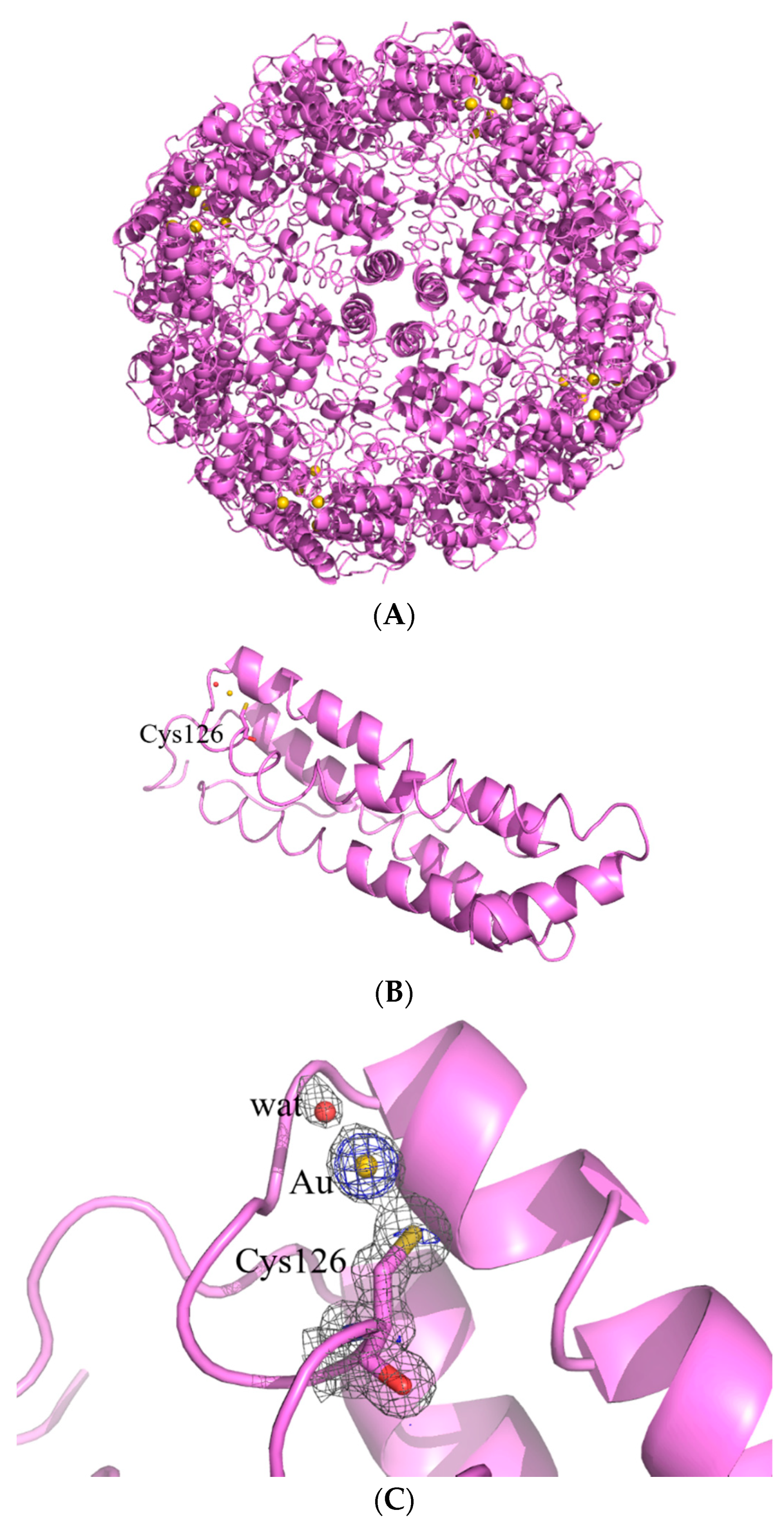 Ijms 23 14162 g005 Ijms 23 14162 g005