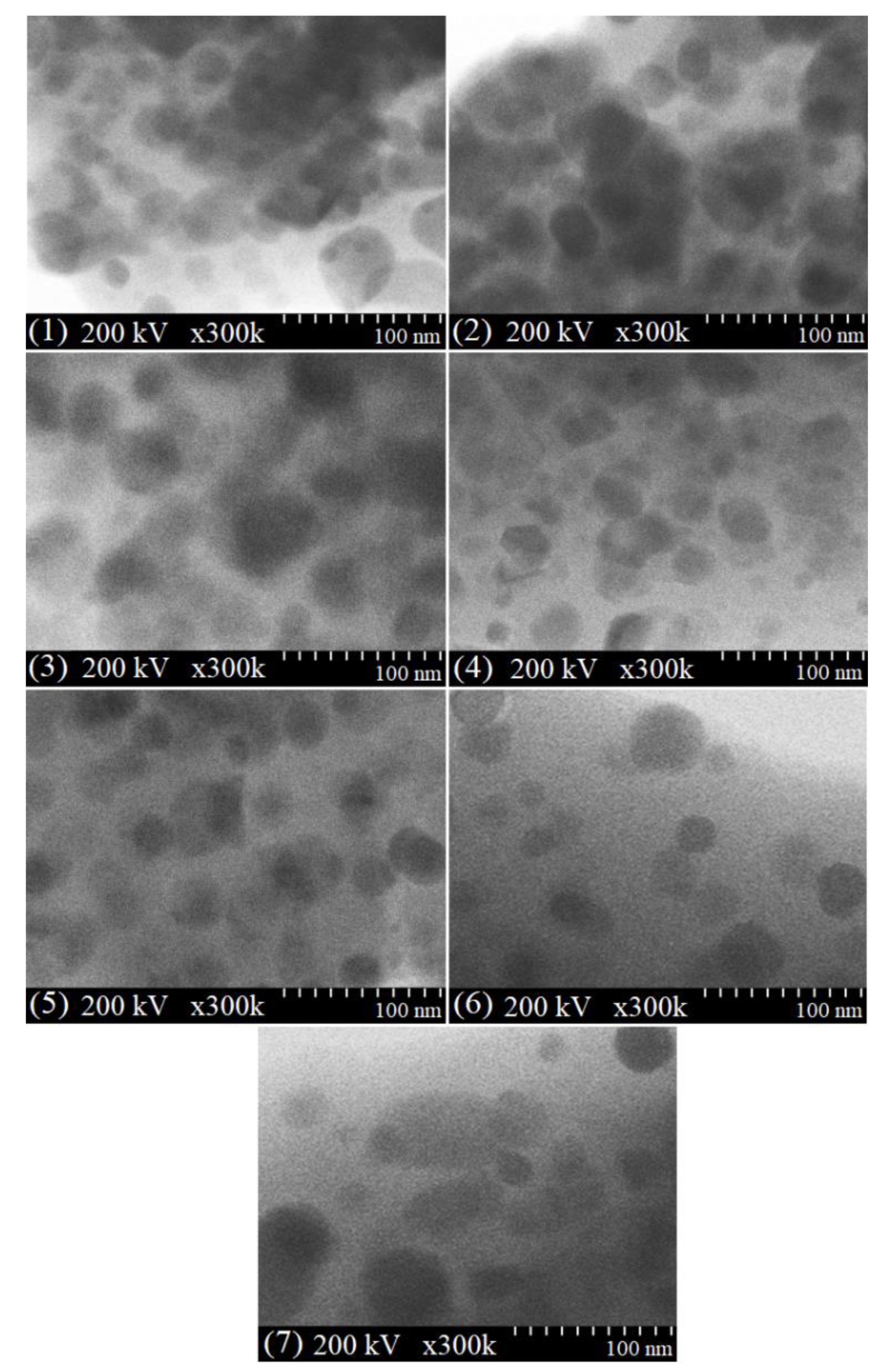 Ijms 23 14167 g004 Ijms 23 14167 g004