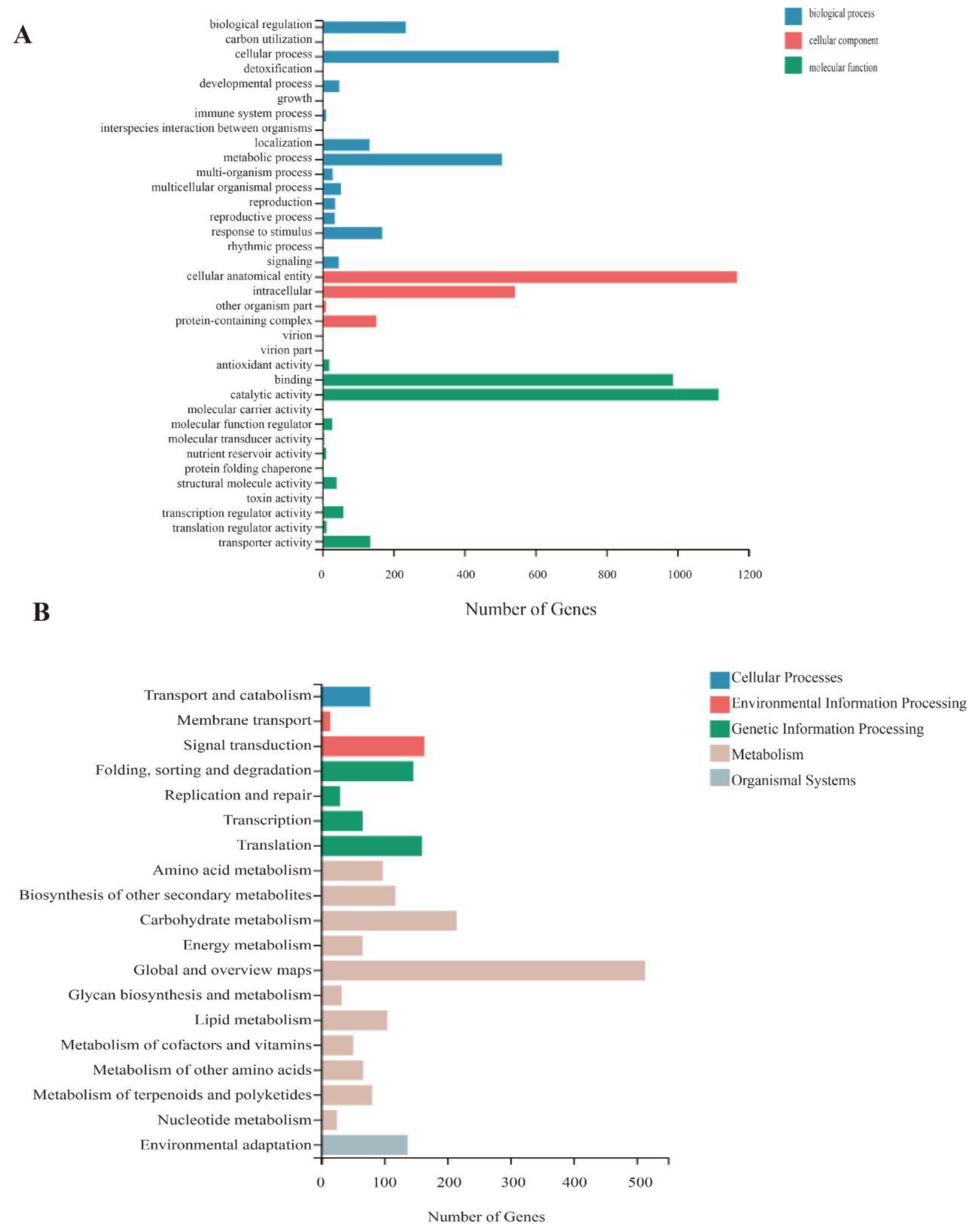 Ijms 23 14169 g006 Ijms 23 14169 g006