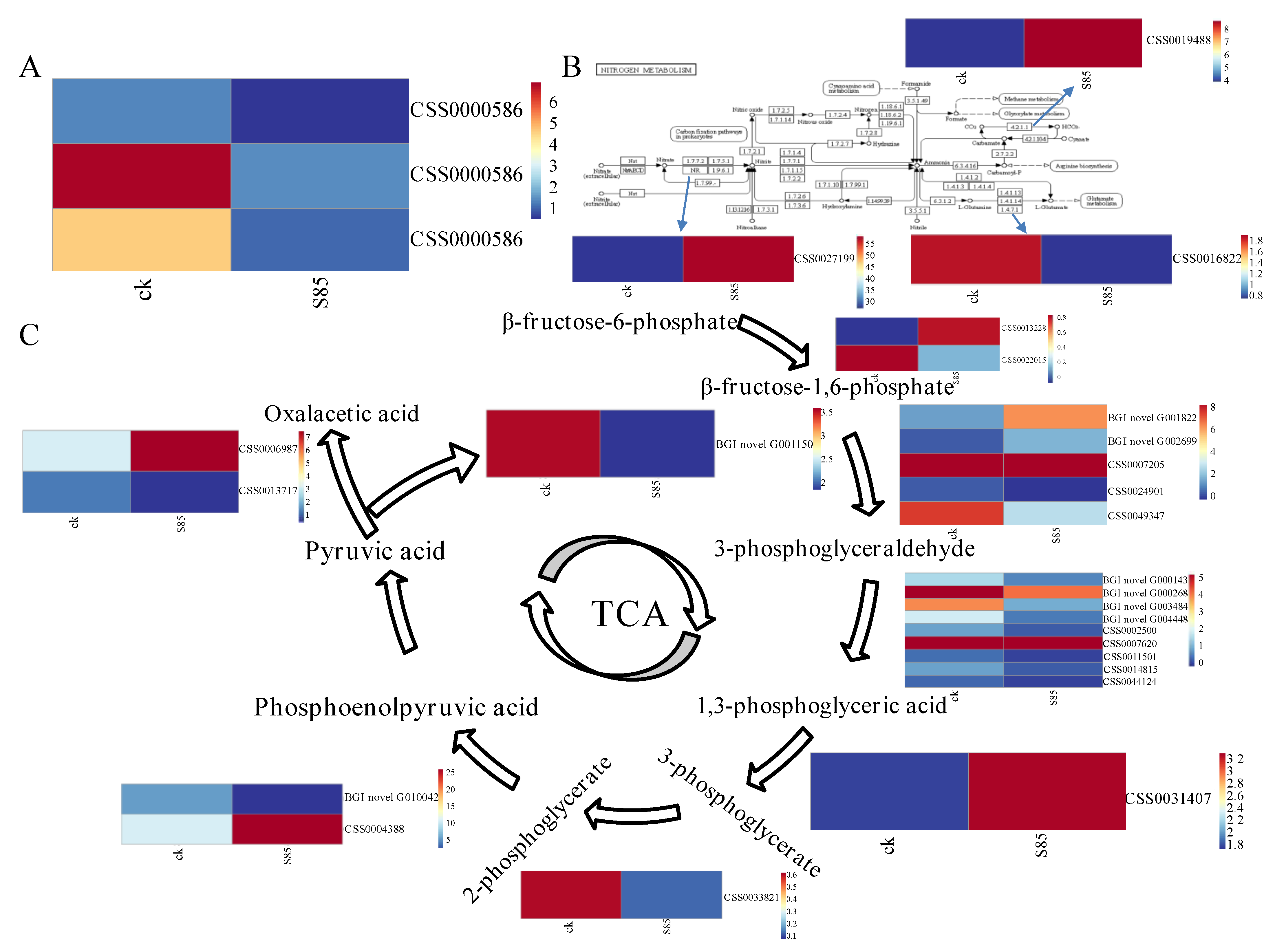 Ijms 23 14169 g007 Ijms 23 14169 g007
