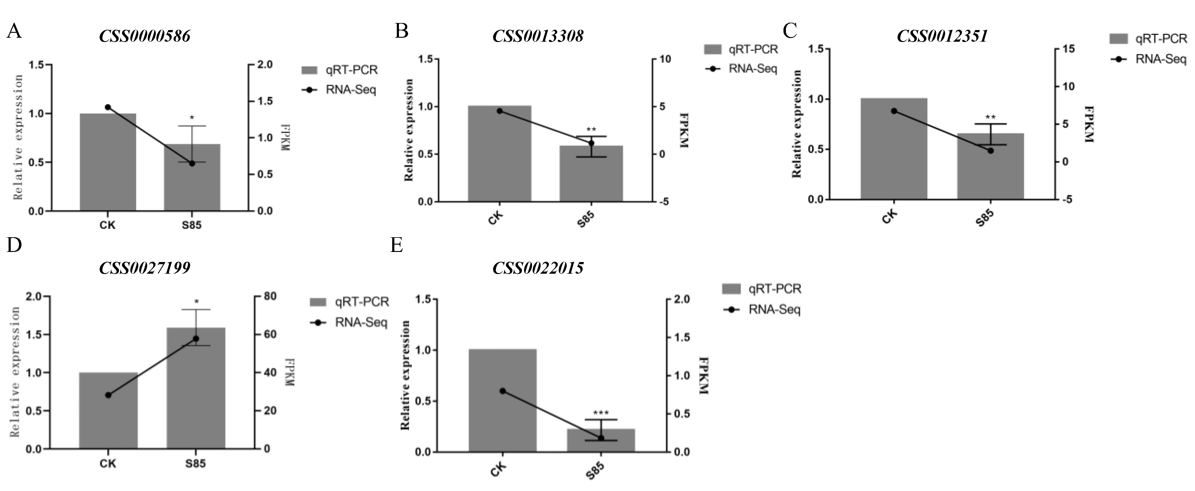 Ijms 23 14169 g008 Ijms 23 14169 g008