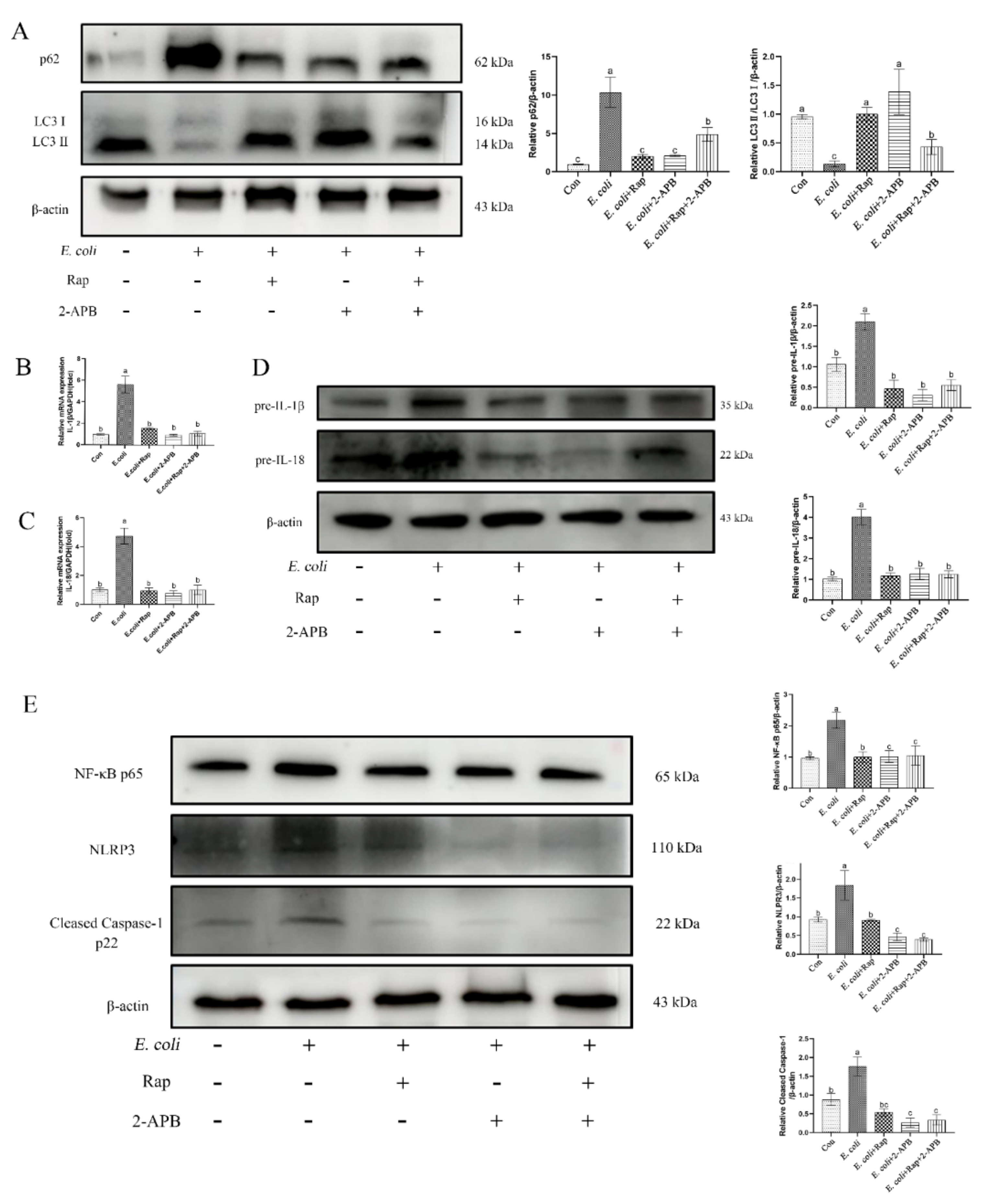 Ijms 23 14174 g008 Ijms 23 14174 g008