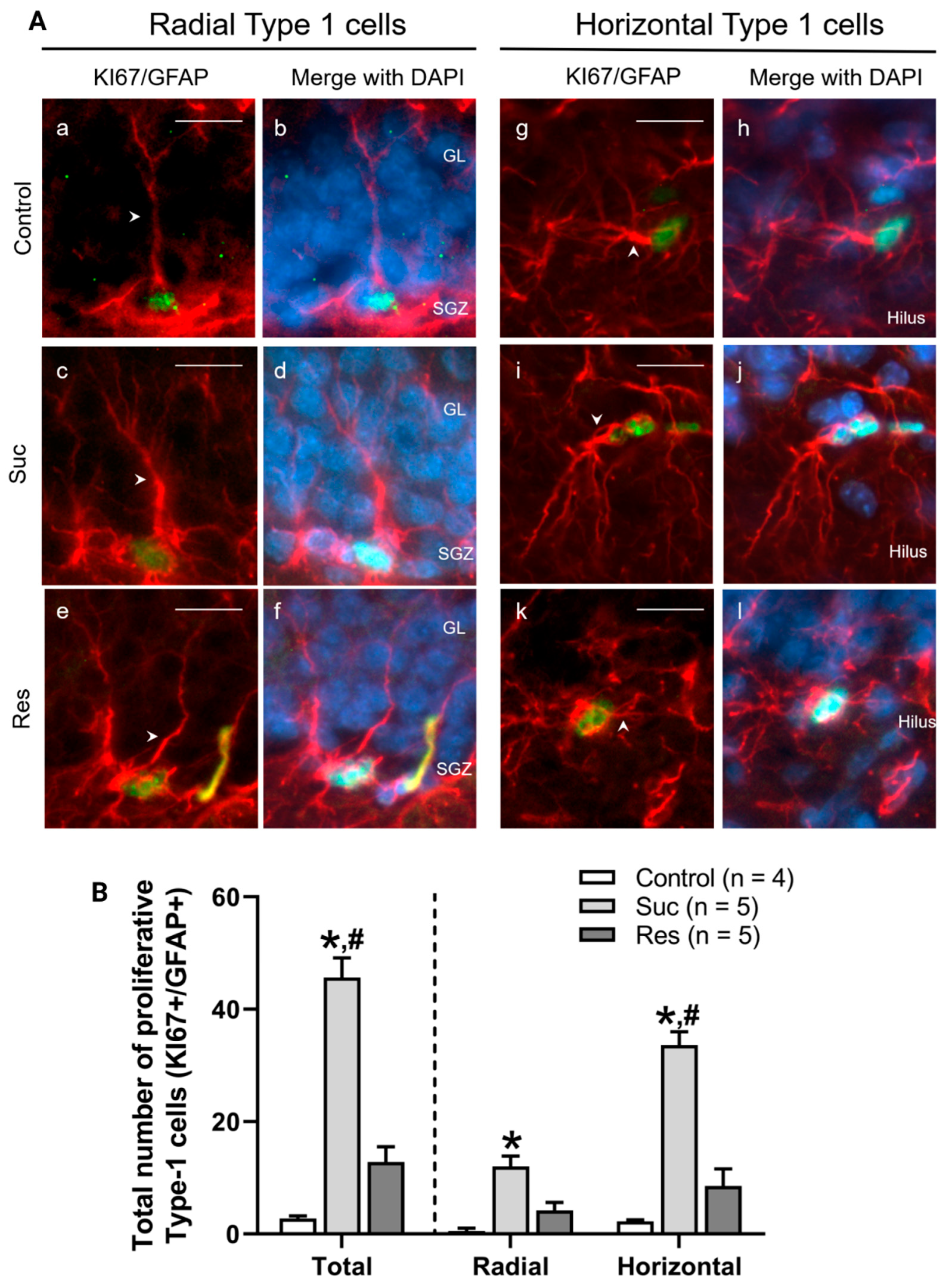 Ijms 23 14176 g005 Ijms 23 14176 g005