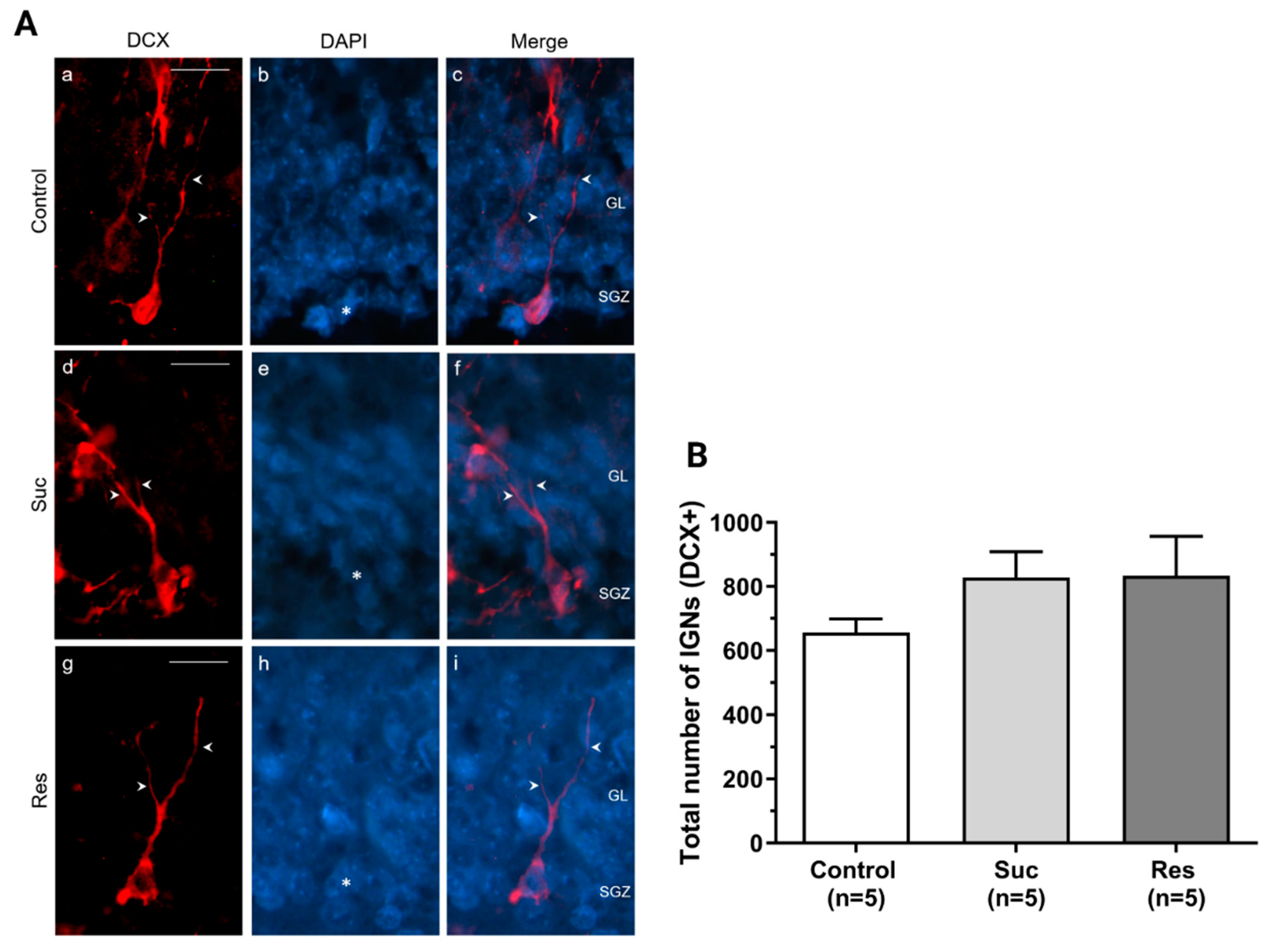 Ijms 23 14176 g008 Ijms 23 14176 g008