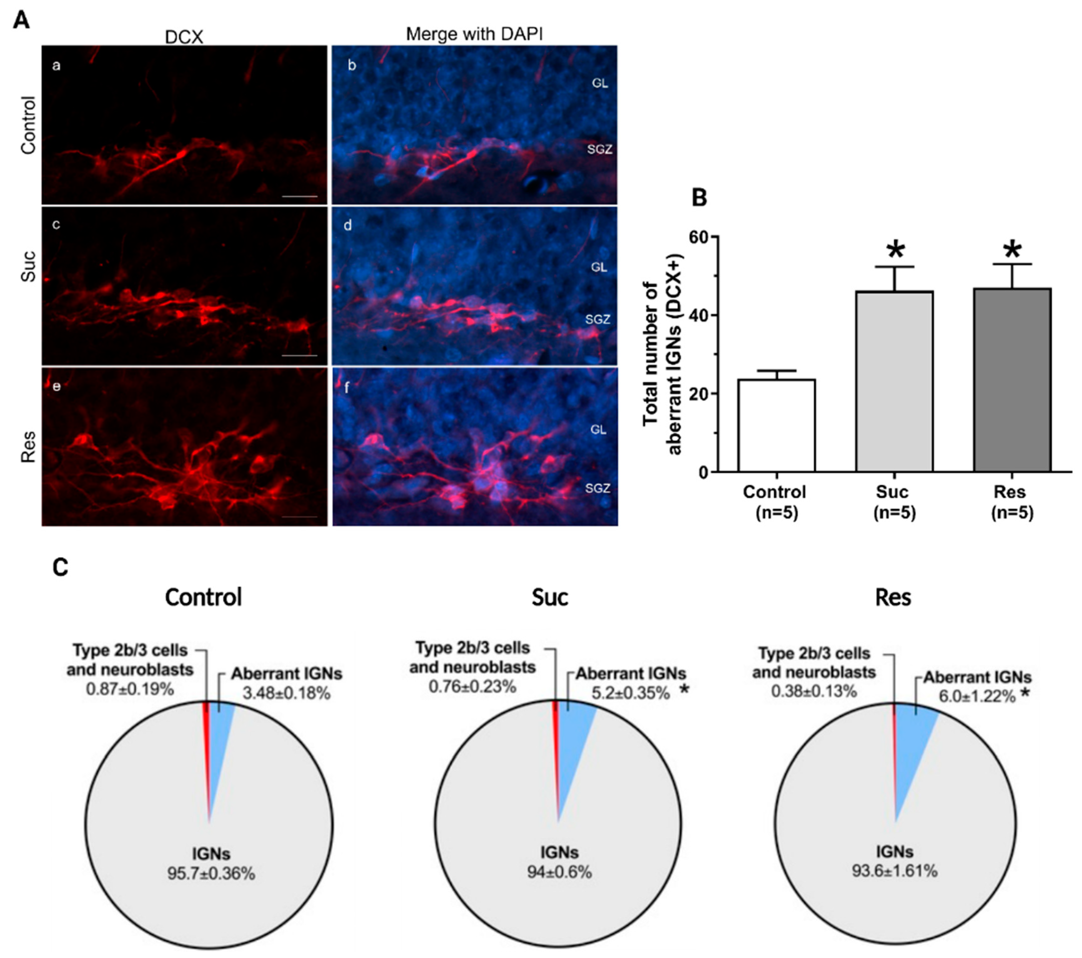 Ijms 23 14176 g009 Ijms 23 14176 g009
