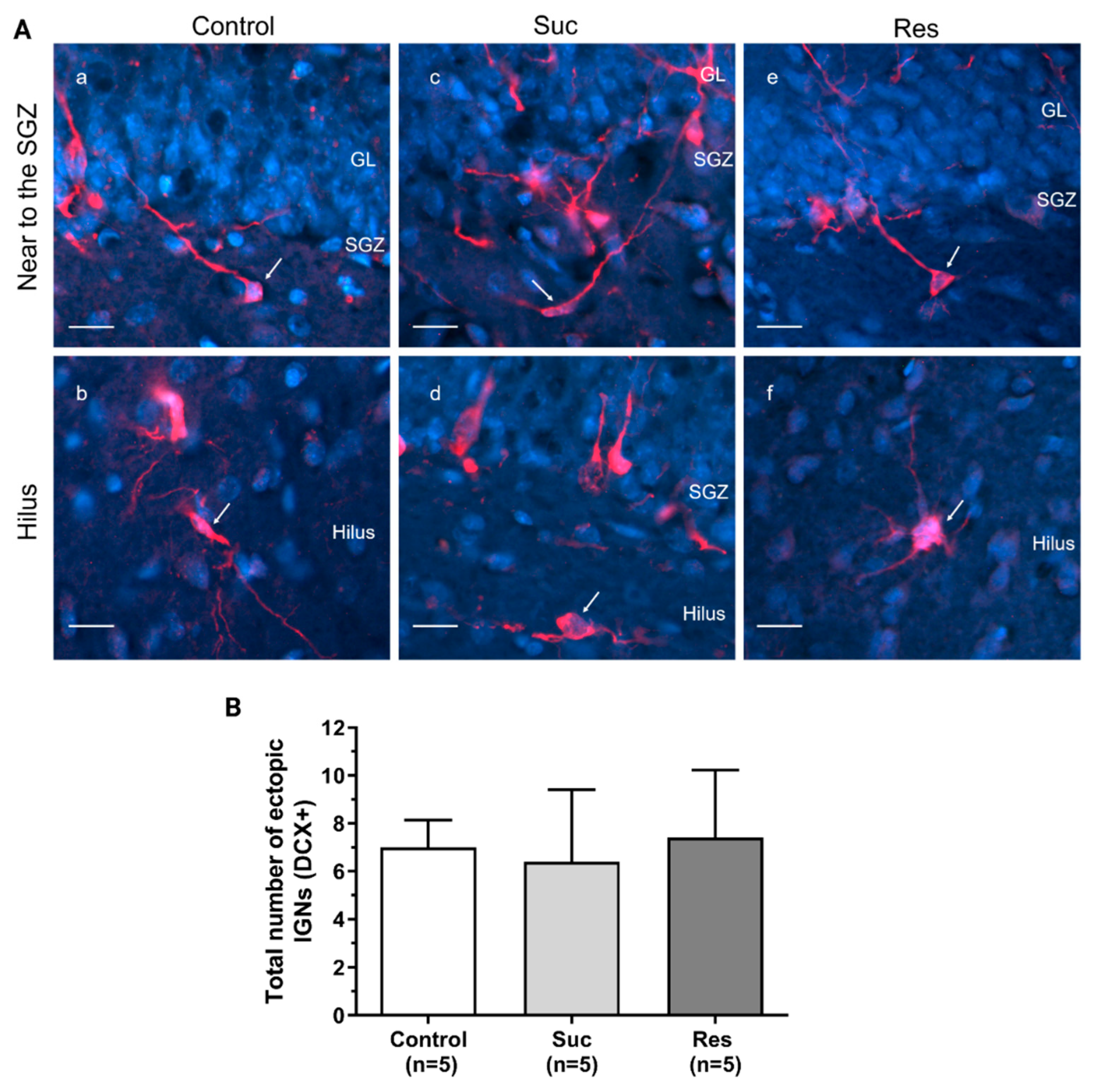 Ijms 23 14176 g010 Ijms 23 14176 g010
