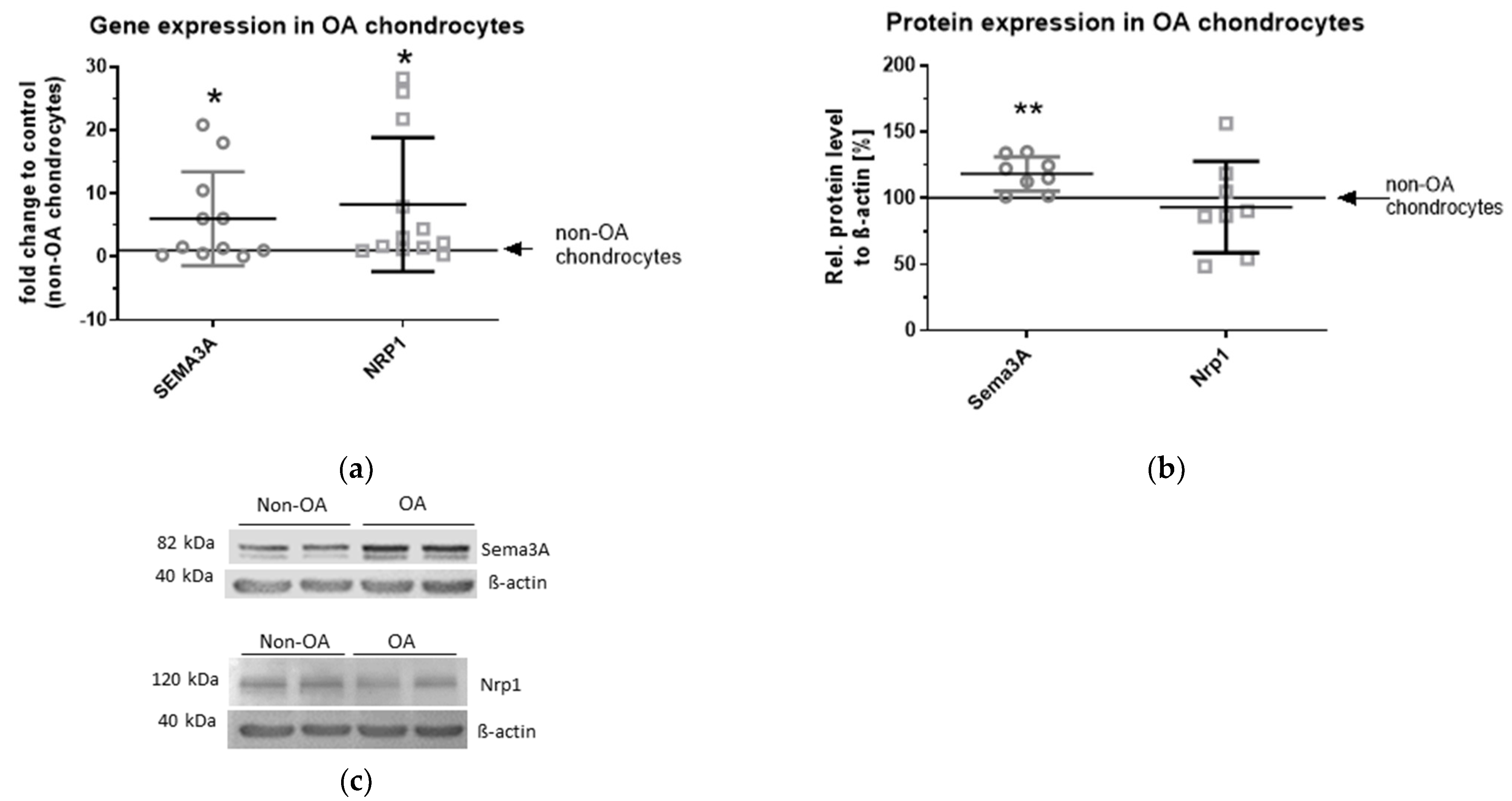 Ijms 23 14180 g001 Ijms 23 14180 g001