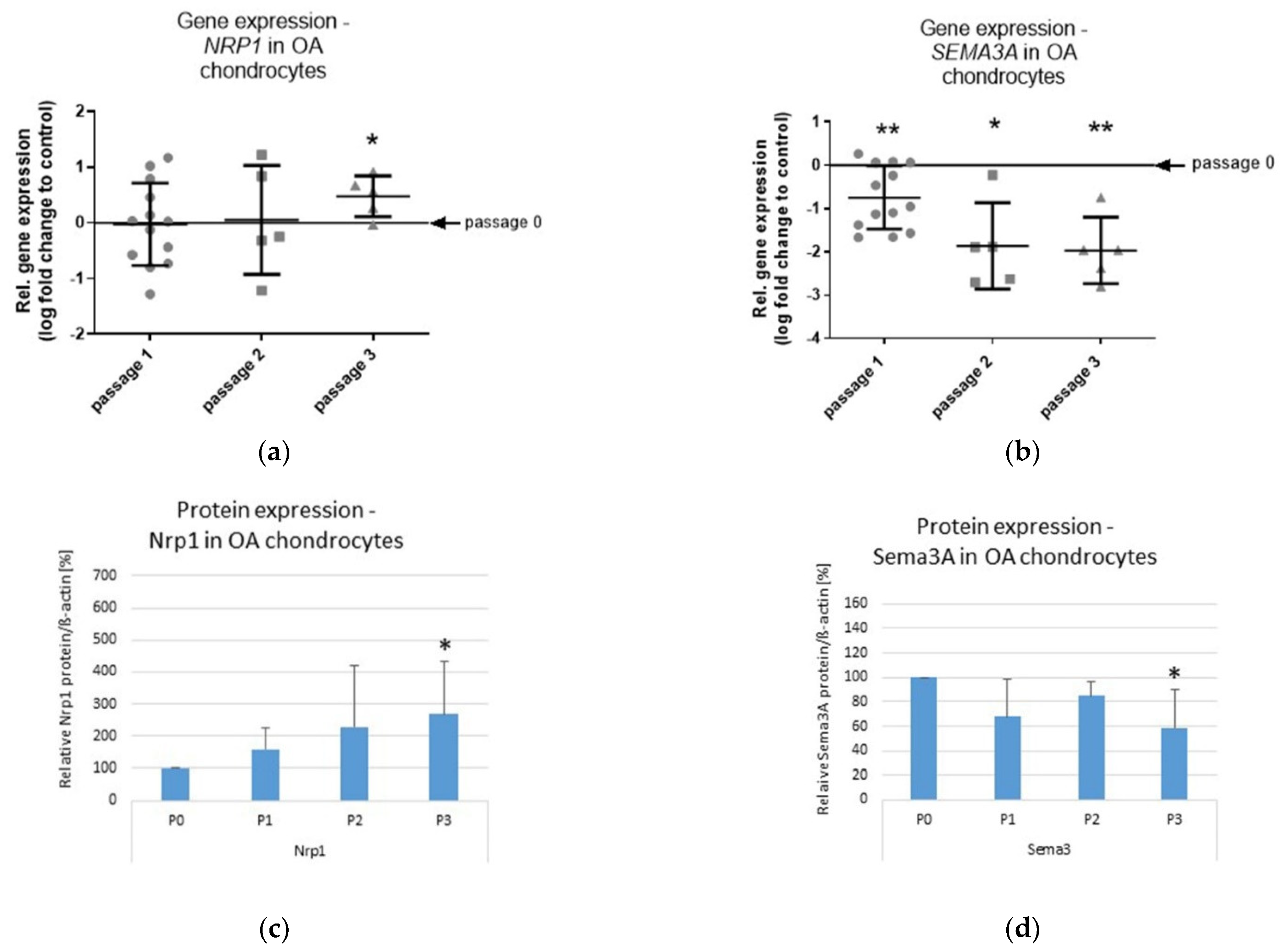 Ijms 23 14180 g002a Ijms 23 14180 g002a