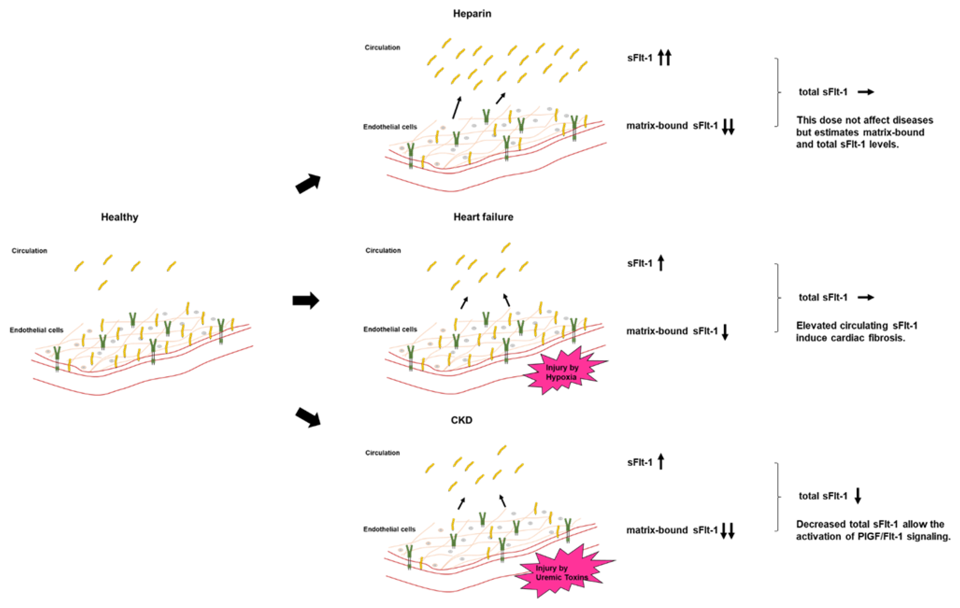 Ijms 23 14187 g006 Ijms 23 14187 g006