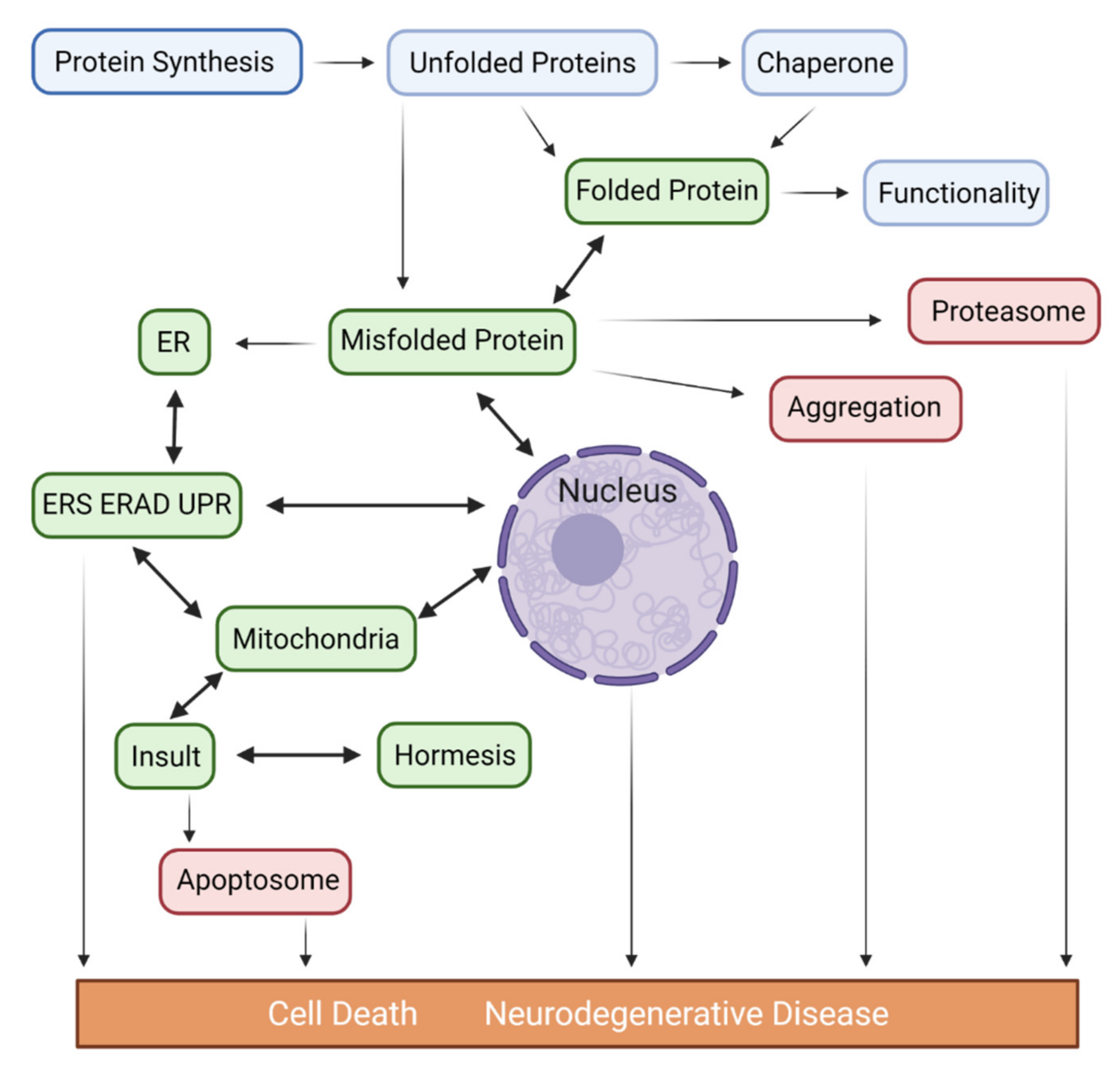 Ijms 23 14188 g001 Ijms 23 14188 g001
