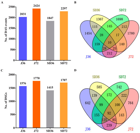ブラスト SPEEDPRO COBRA SPX Slip-on road legal/ECE/homologated BMW R
