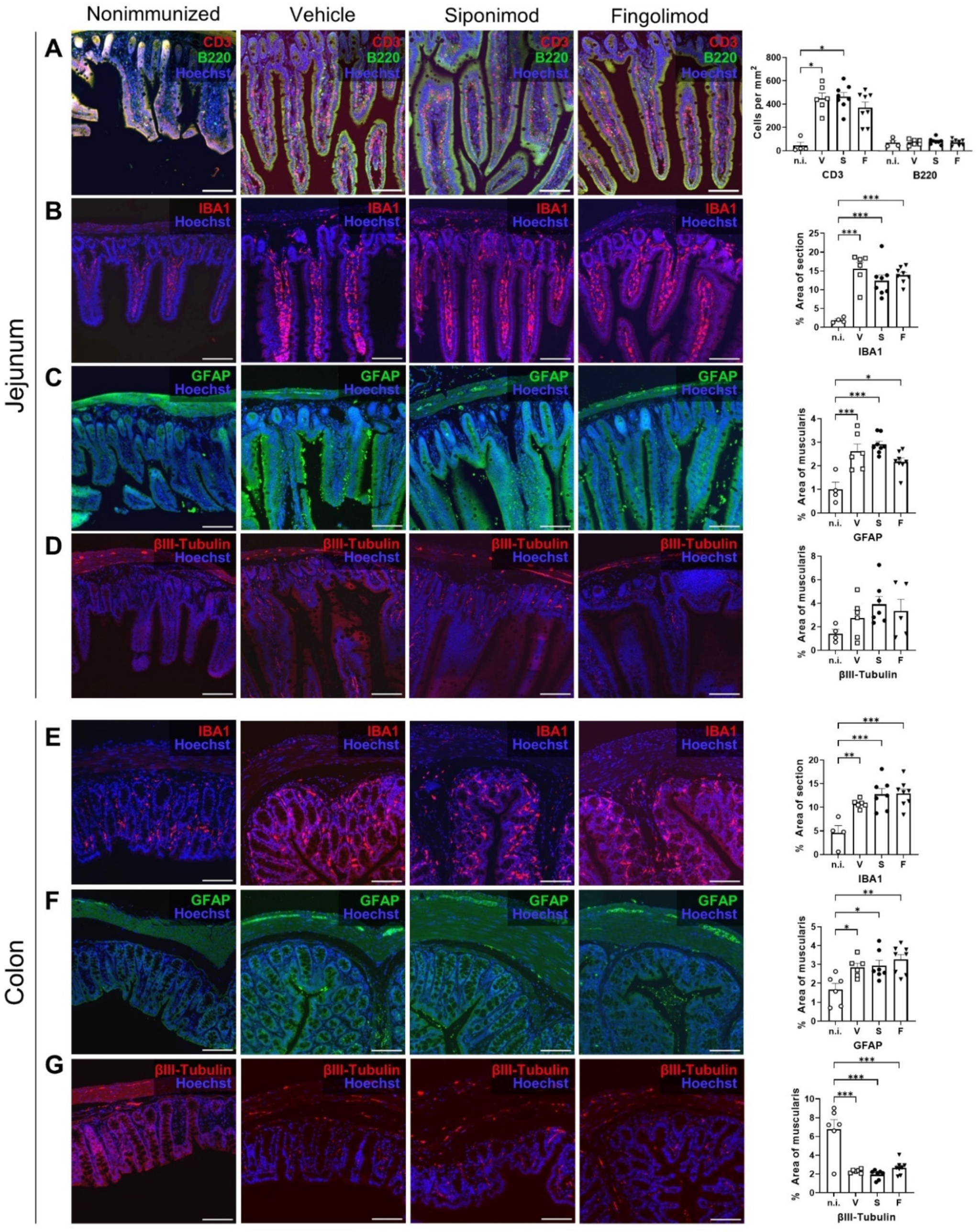 Ijms 23 14209 g004 Ijms 23 14209 g004