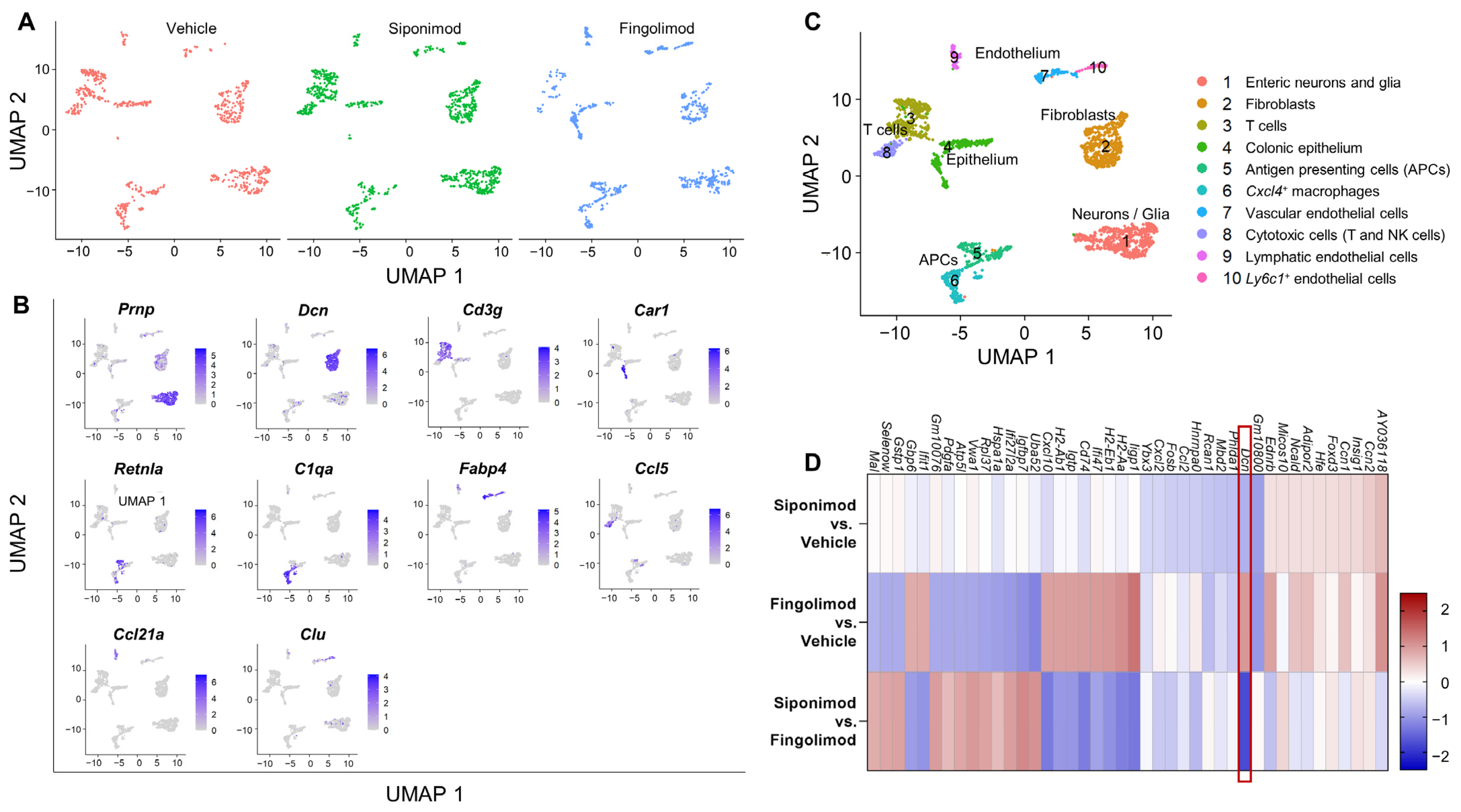 Ijms 23 14209 g006 Ijms 23 14209 g006