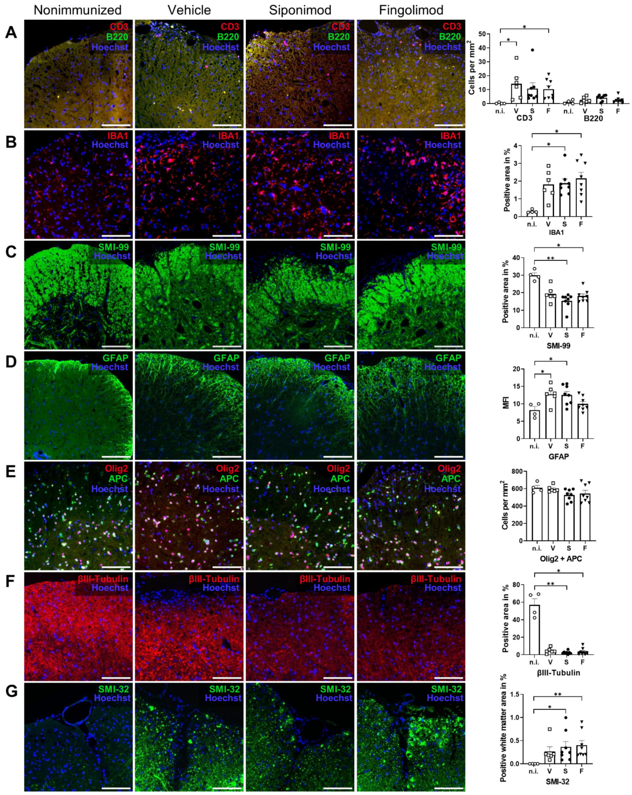 Ijms 23 14209 g007 Ijms 23 14209 g007