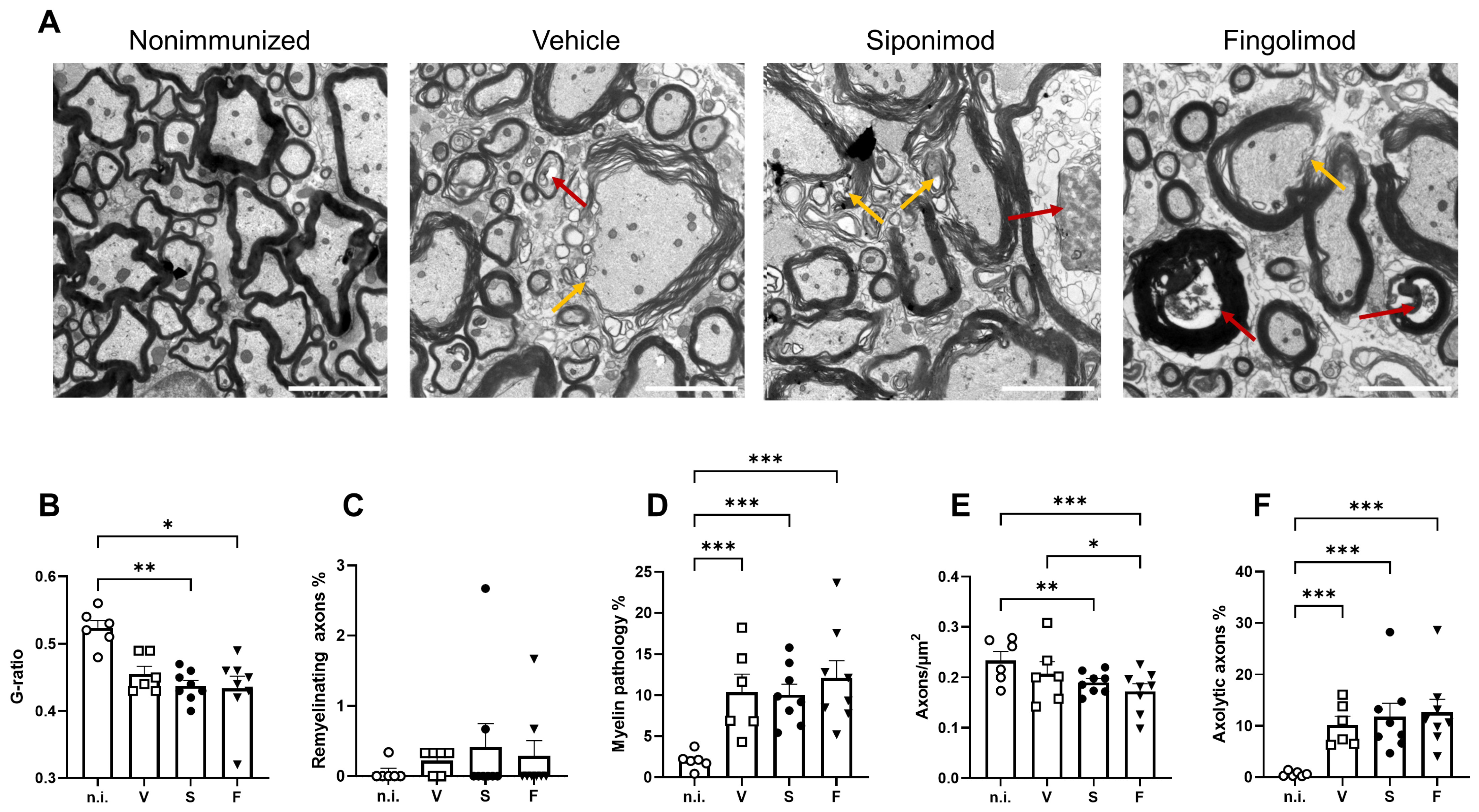 Ijms 23 14209 g008 Ijms 23 14209 g008