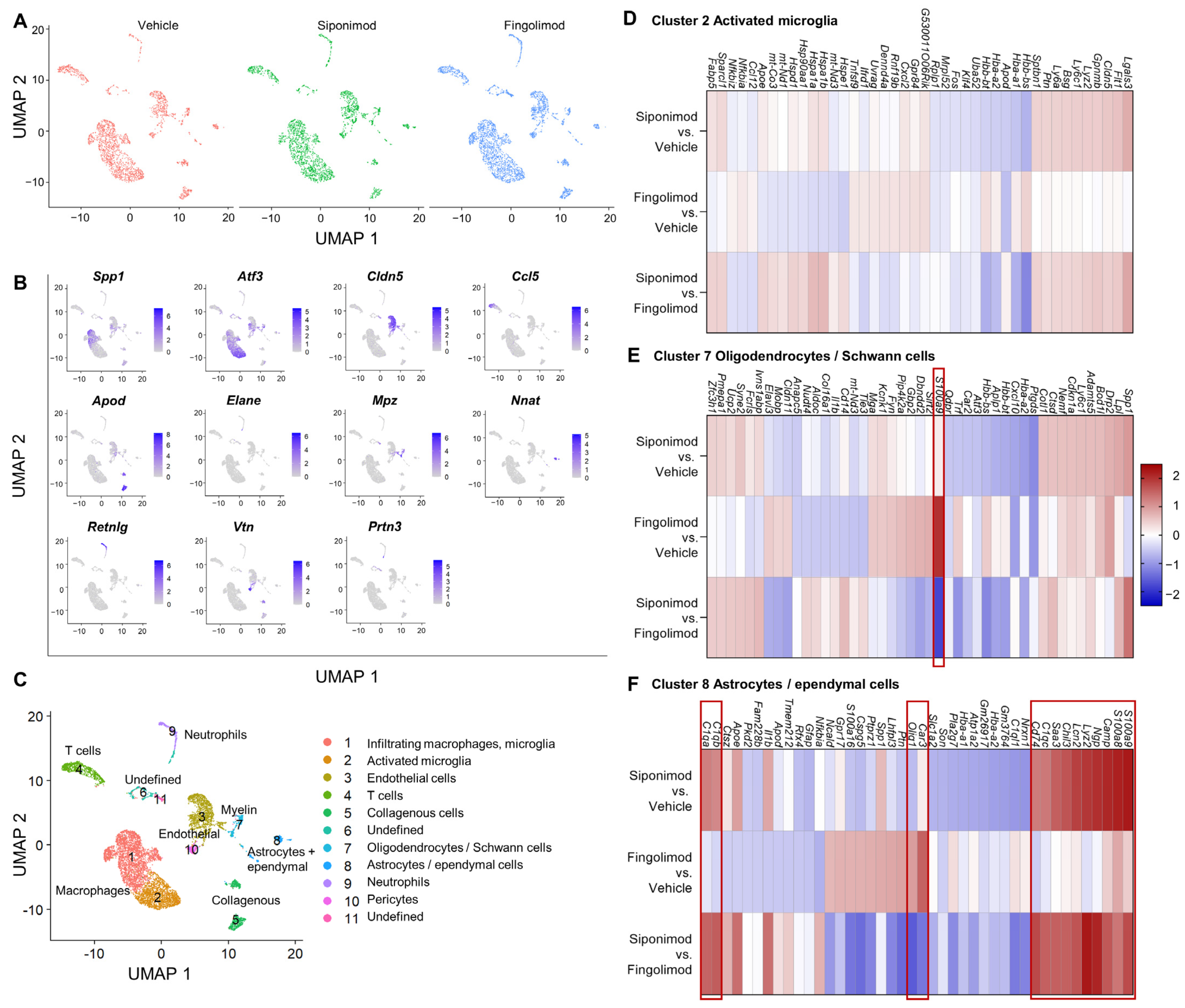 Ijms 23 14209 g009 Ijms 23 14209 g009