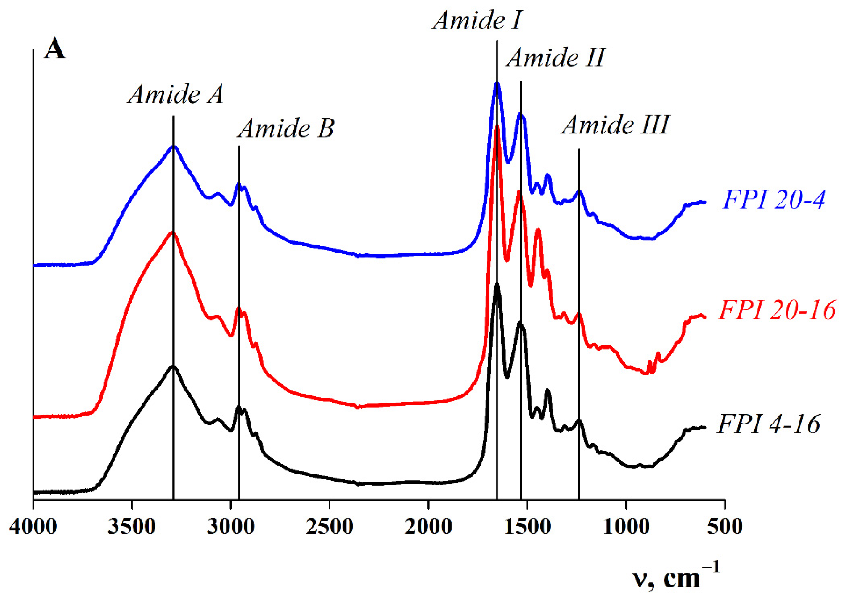 Ijms 23 14221 g001 Ijms 23 14221 g001
