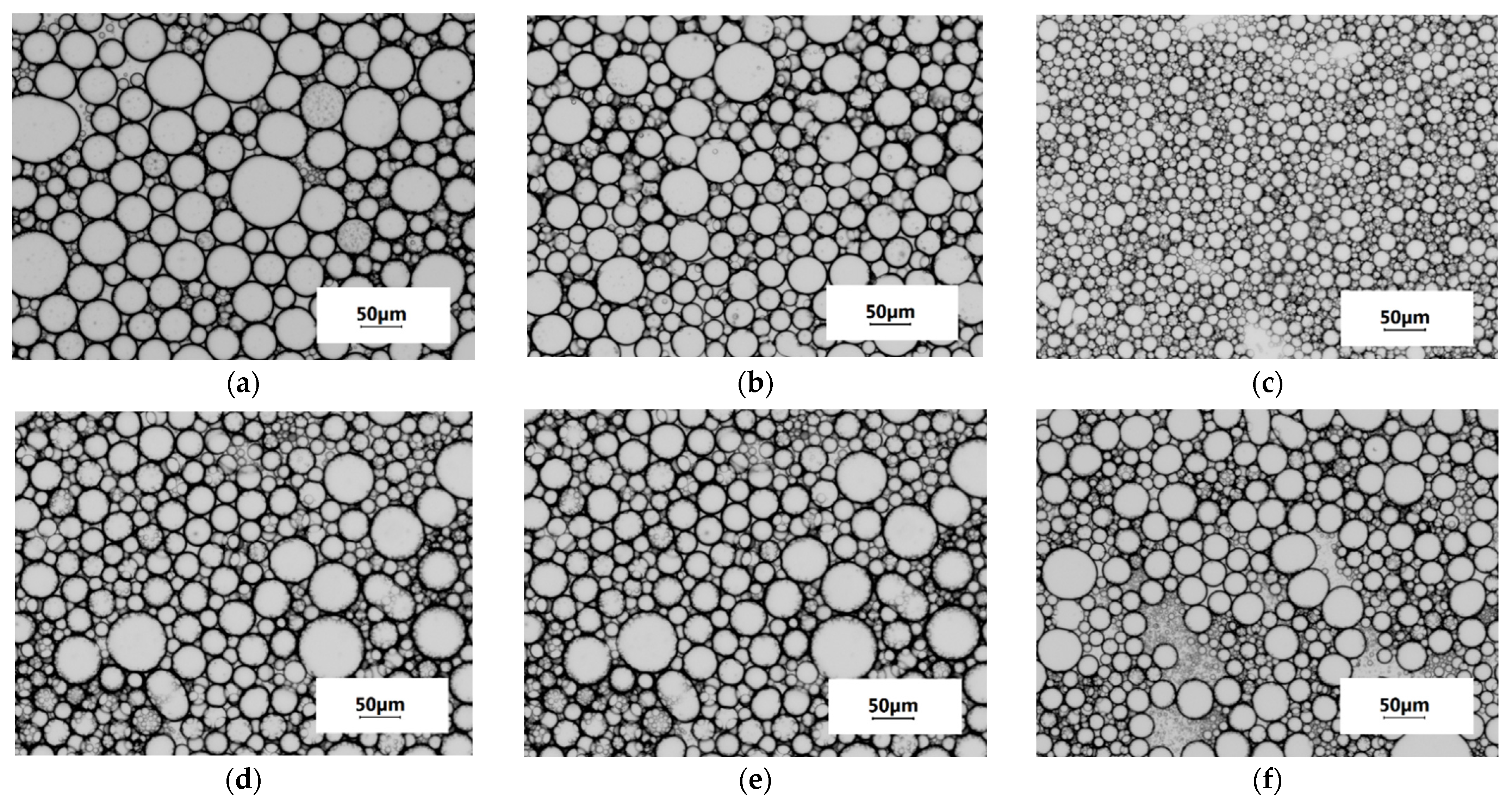 Ijms 23 14221 g005 Ijms 23 14221 g005