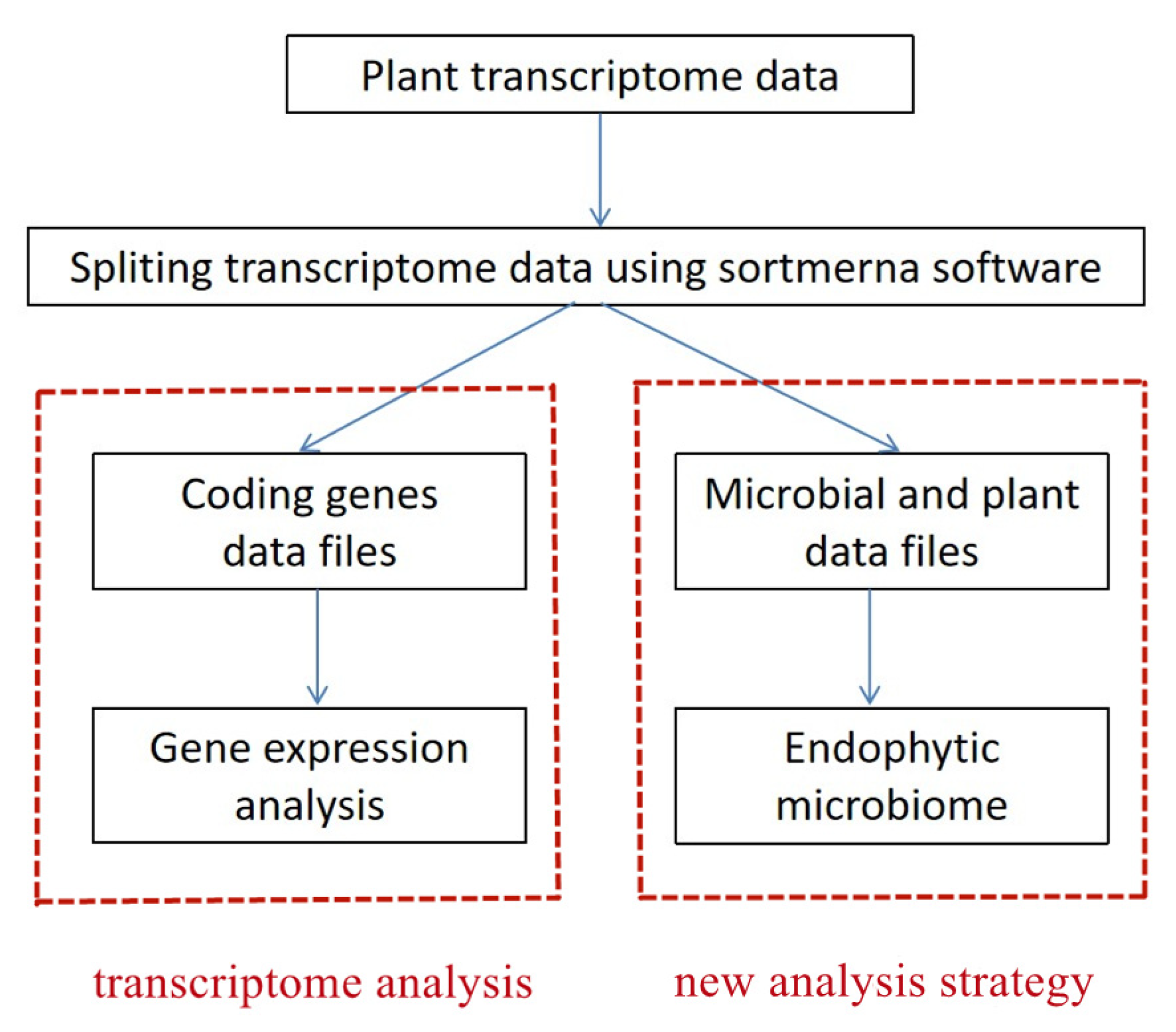 Ijms 23 14223 g001 Ijms 23 14223 g001