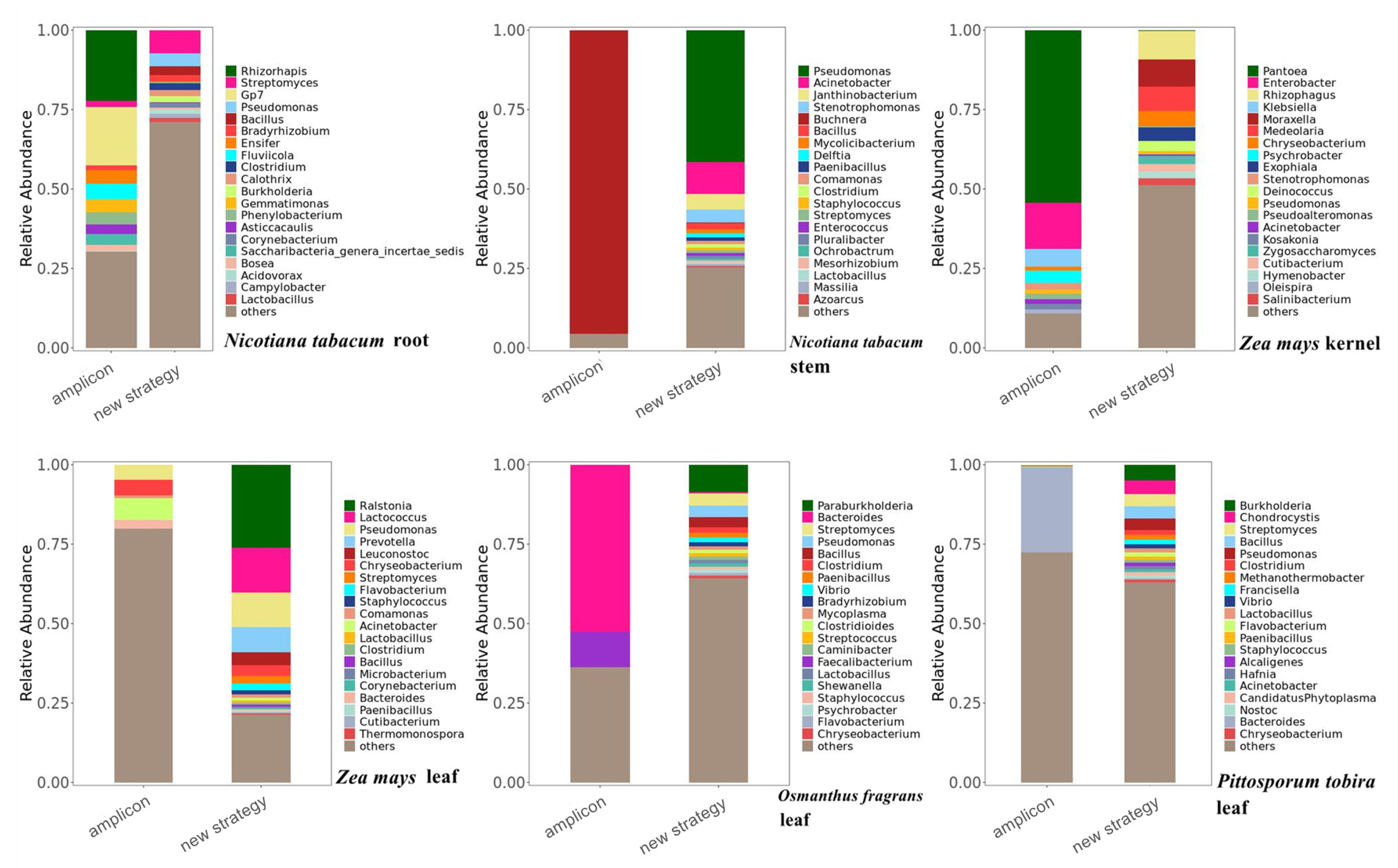 Ijms 23 14223 g005 Ijms 23 14223 g005