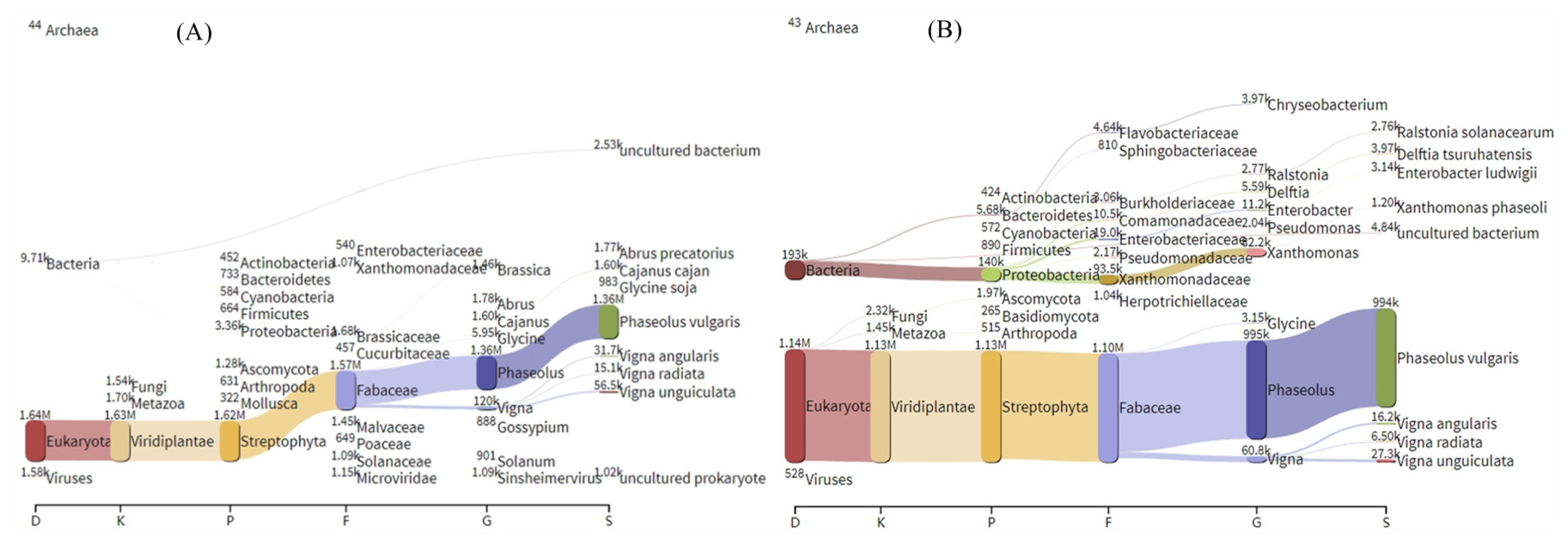 Ijms 23 14223 g007 Ijms 23 14223 g007