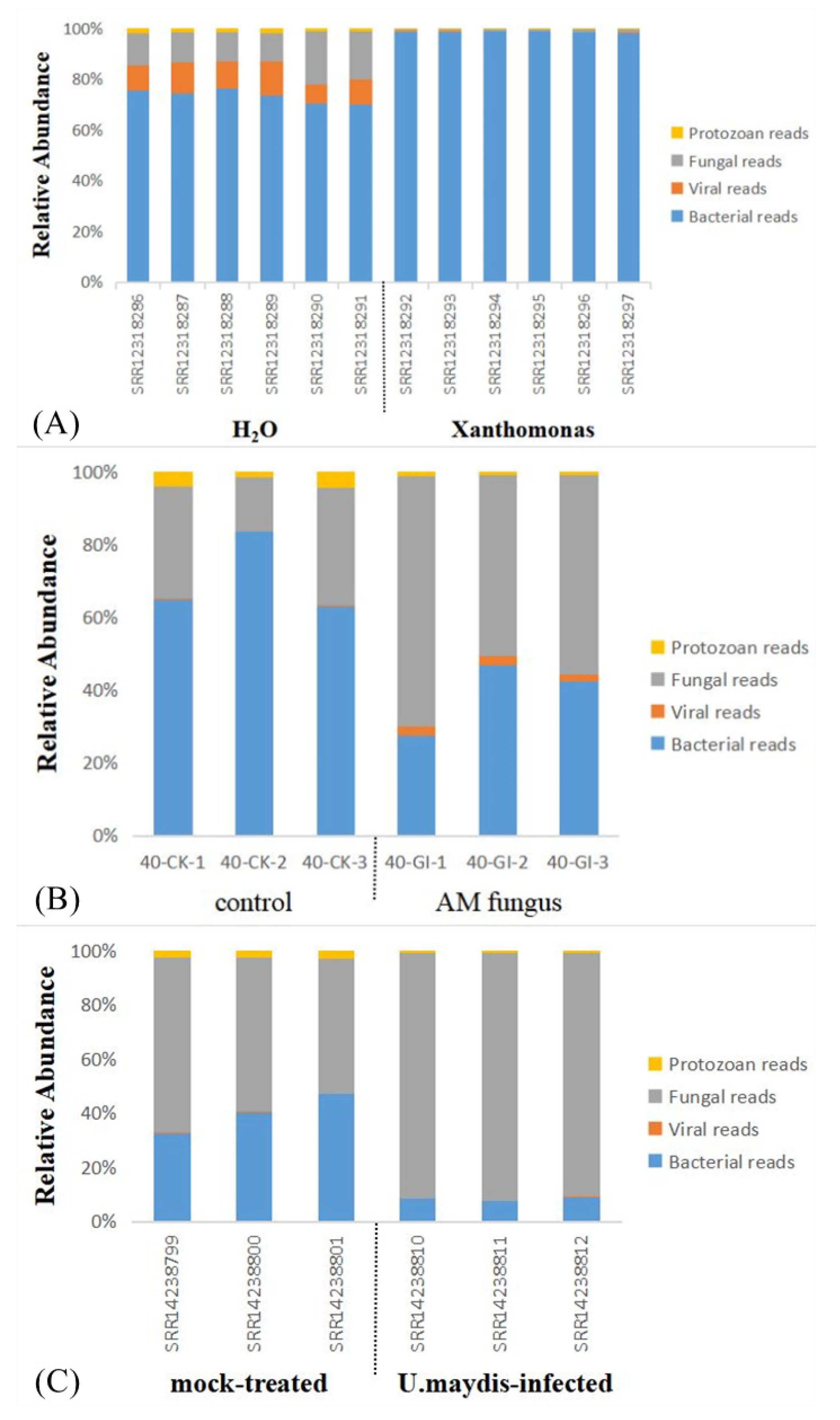 Ijms 23 14223 g008 Ijms 23 14223 g008
