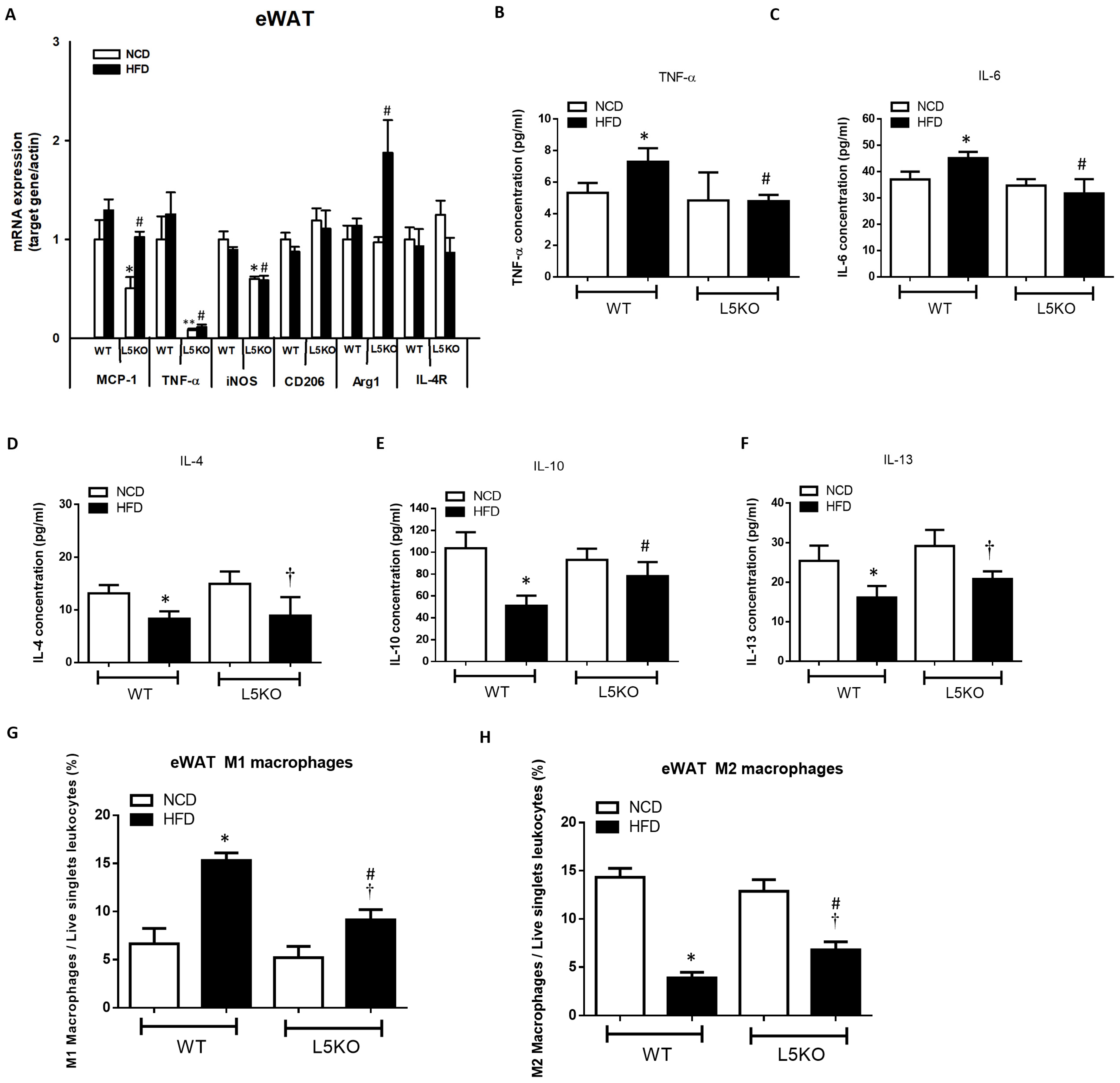 Ijms 23 14226 g002 Ijms 23 14226 g002