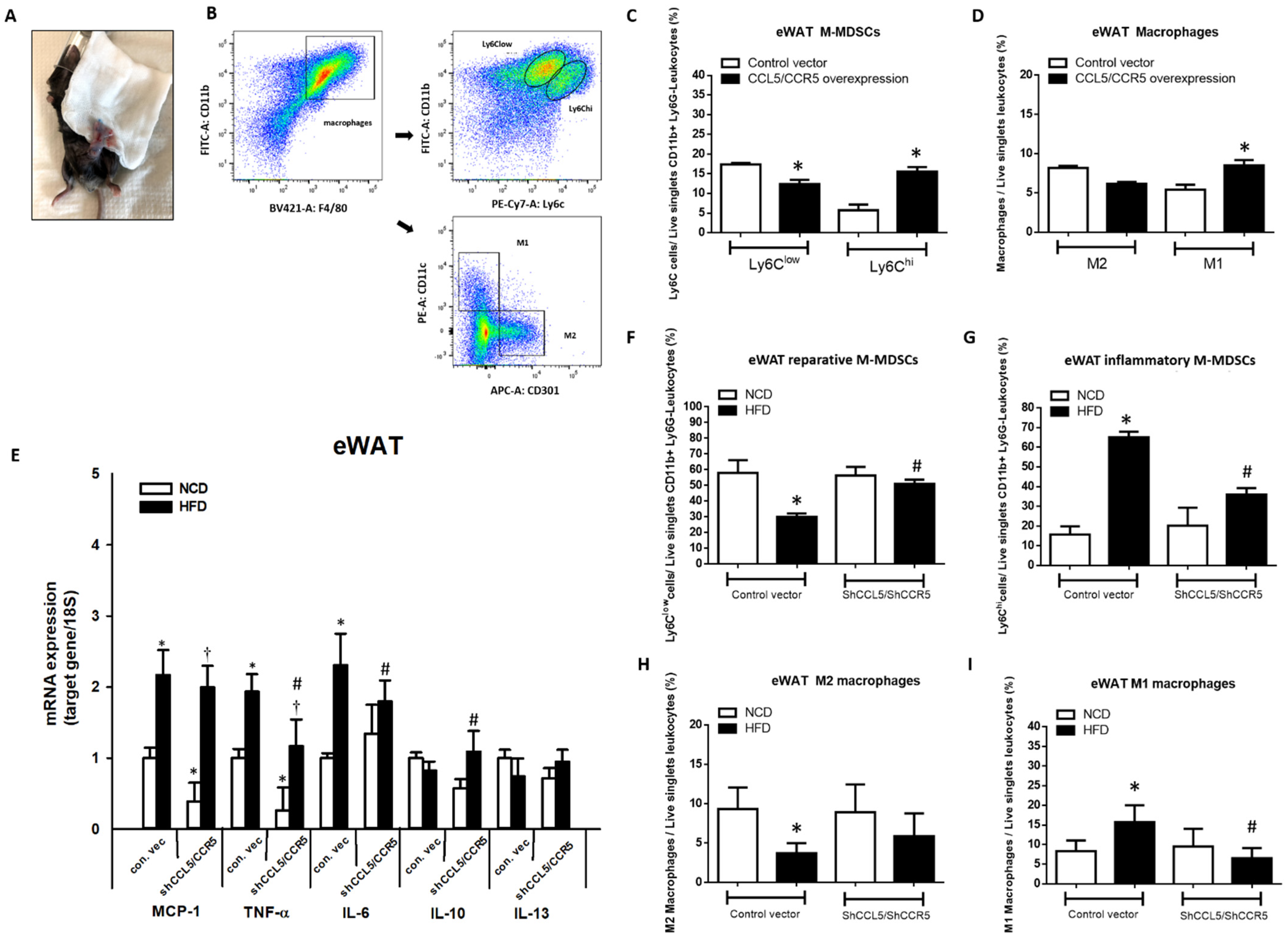 Ijms 23 14226 g006 Ijms 23 14226 g006