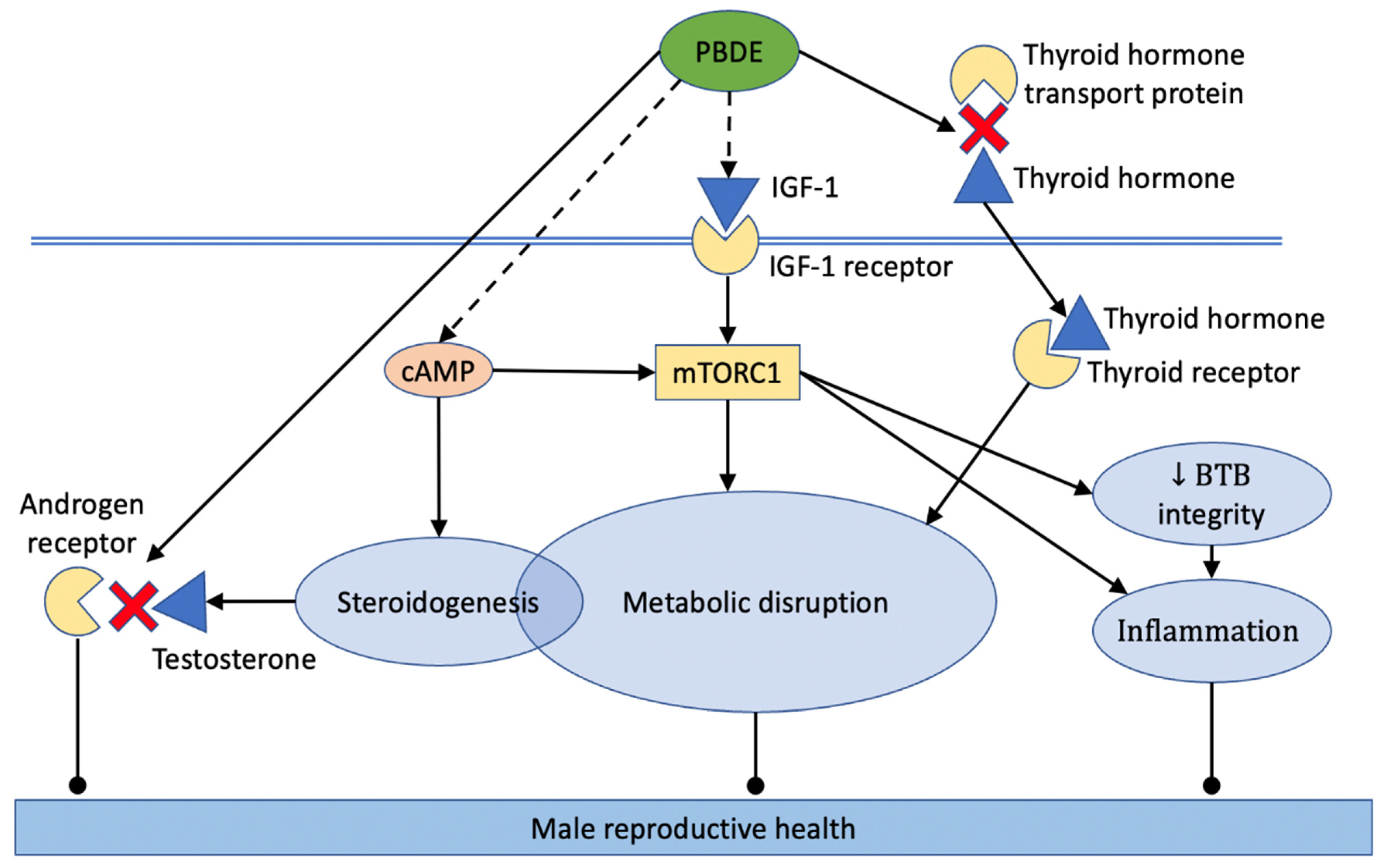 Ijms 23 14229 g003 Ijms 23 14229 g003