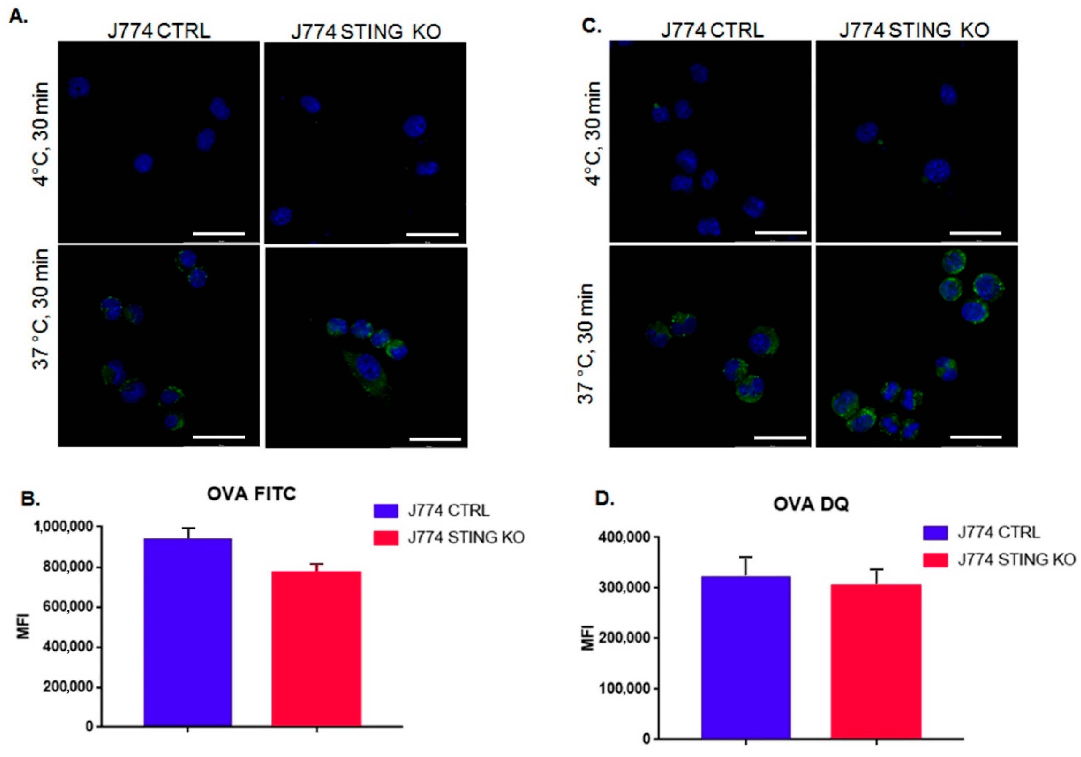 Ijms 23 14232 g002 Ijms 23 14232 g002