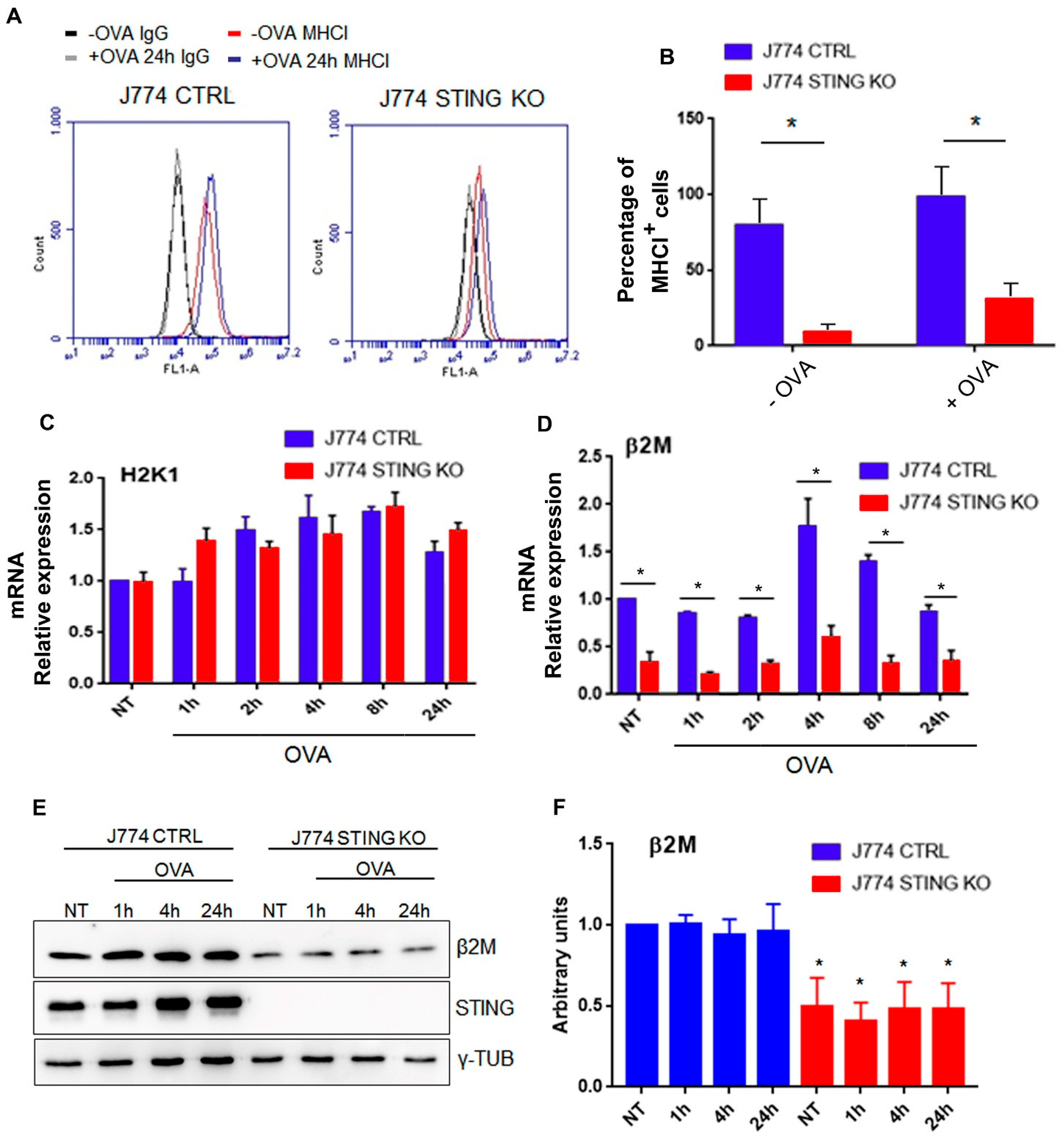 Ijms 23 14232 g005 Ijms 23 14232 g005