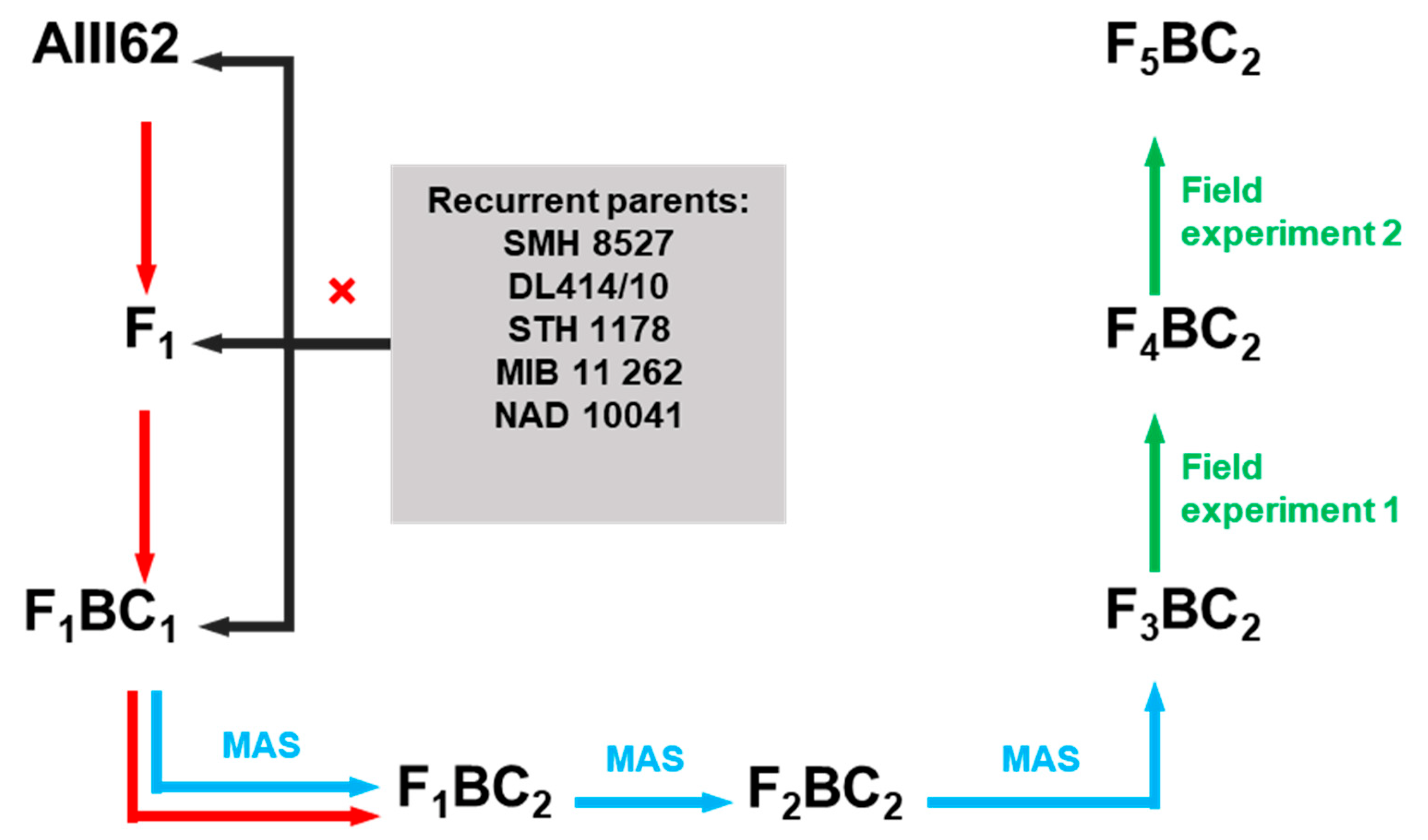 Ijms 23 14233 g007 Ijms 23 14233 g007