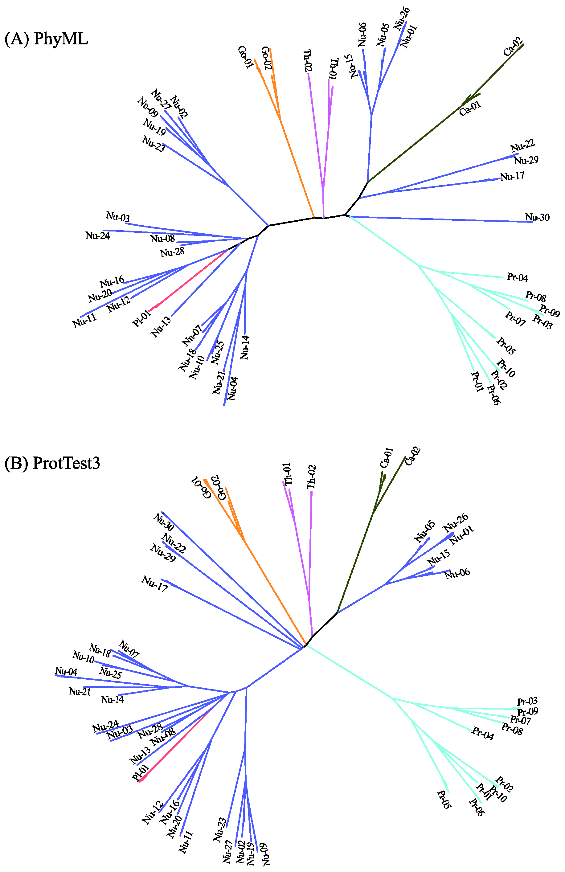 Ijms 23 14240 g007 Ijms 23 14240 g007