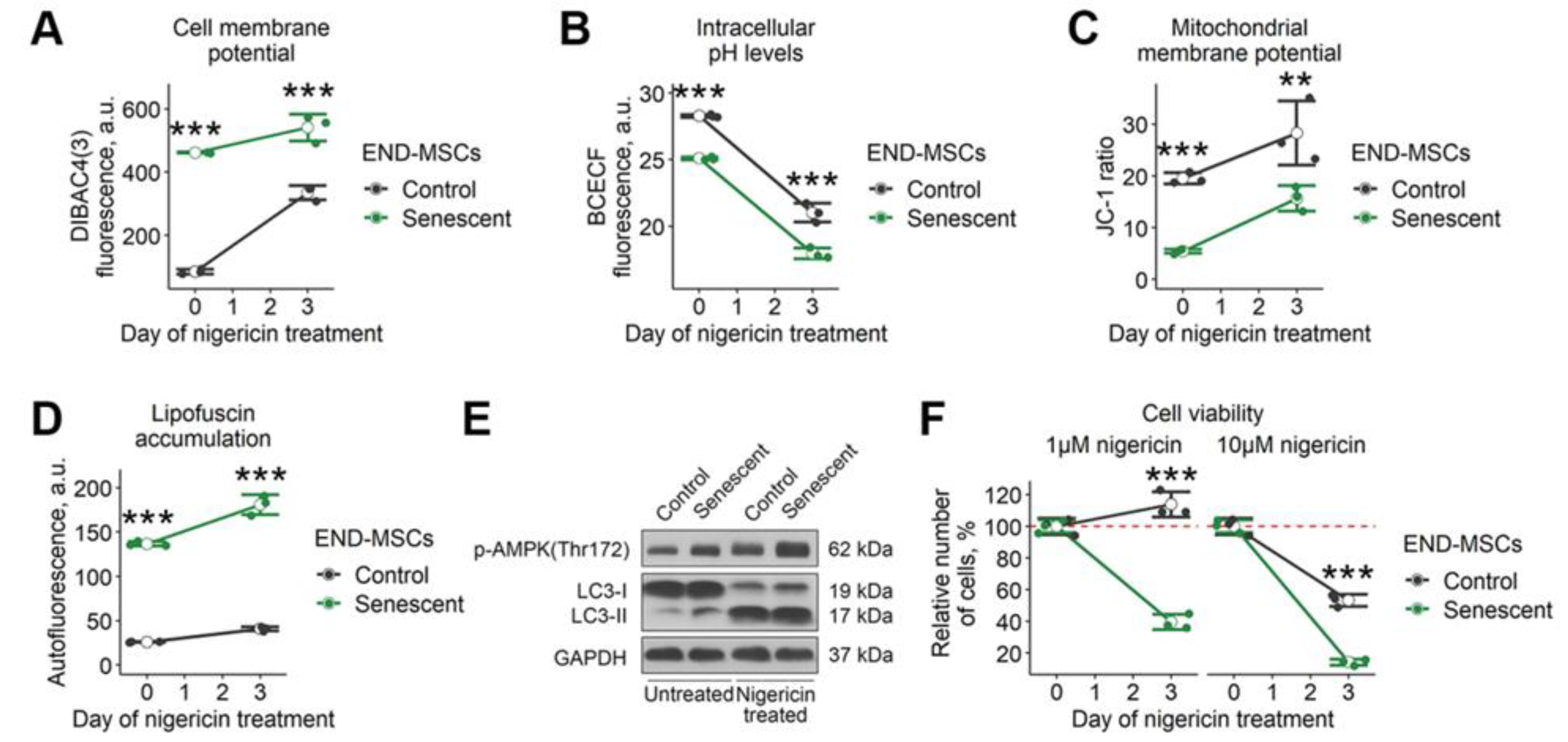 Ijms 23 14251 g004 Ijms 23 14251 g004