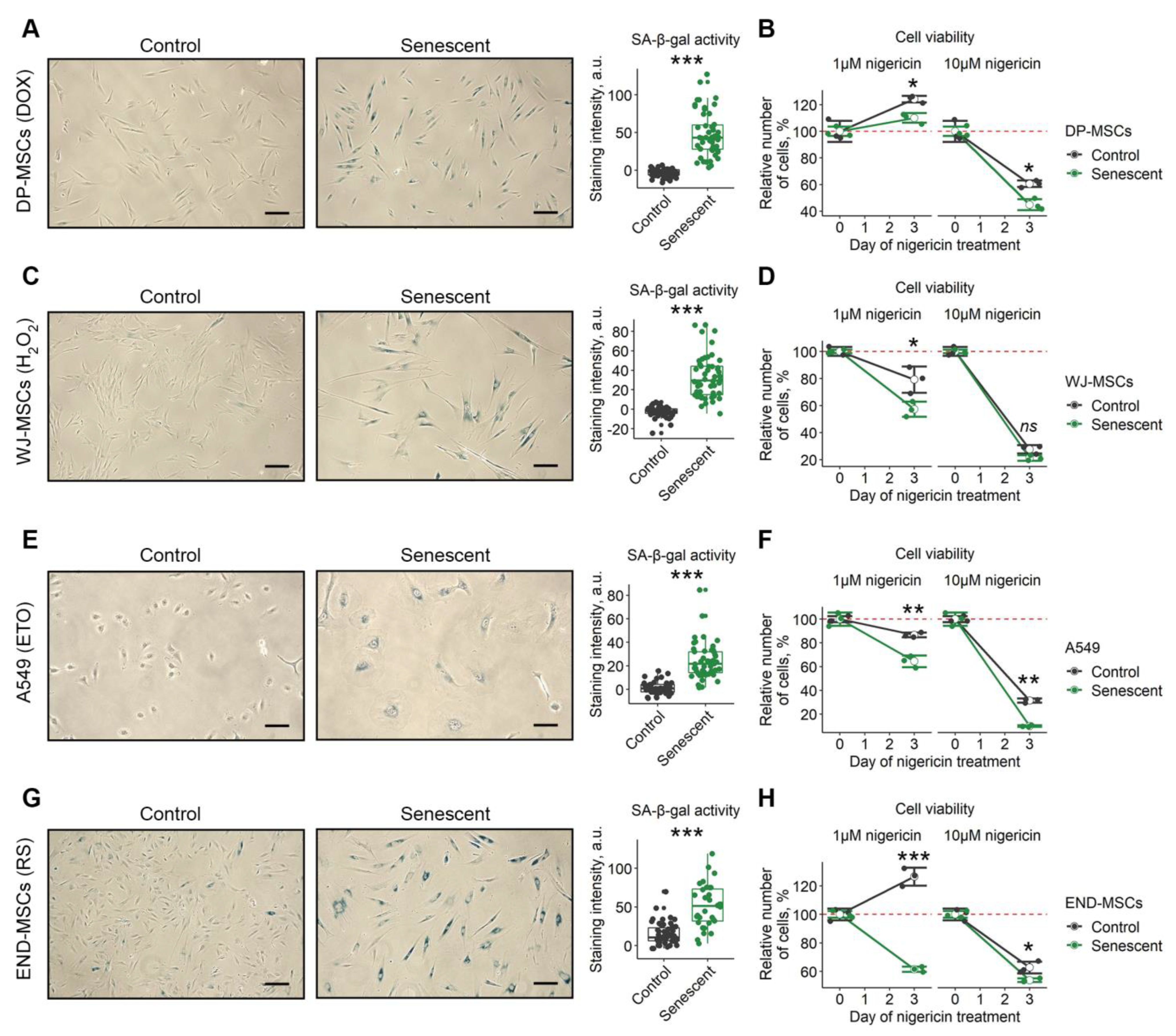 Ijms 23 14251 g006 Ijms 23 14251 g006