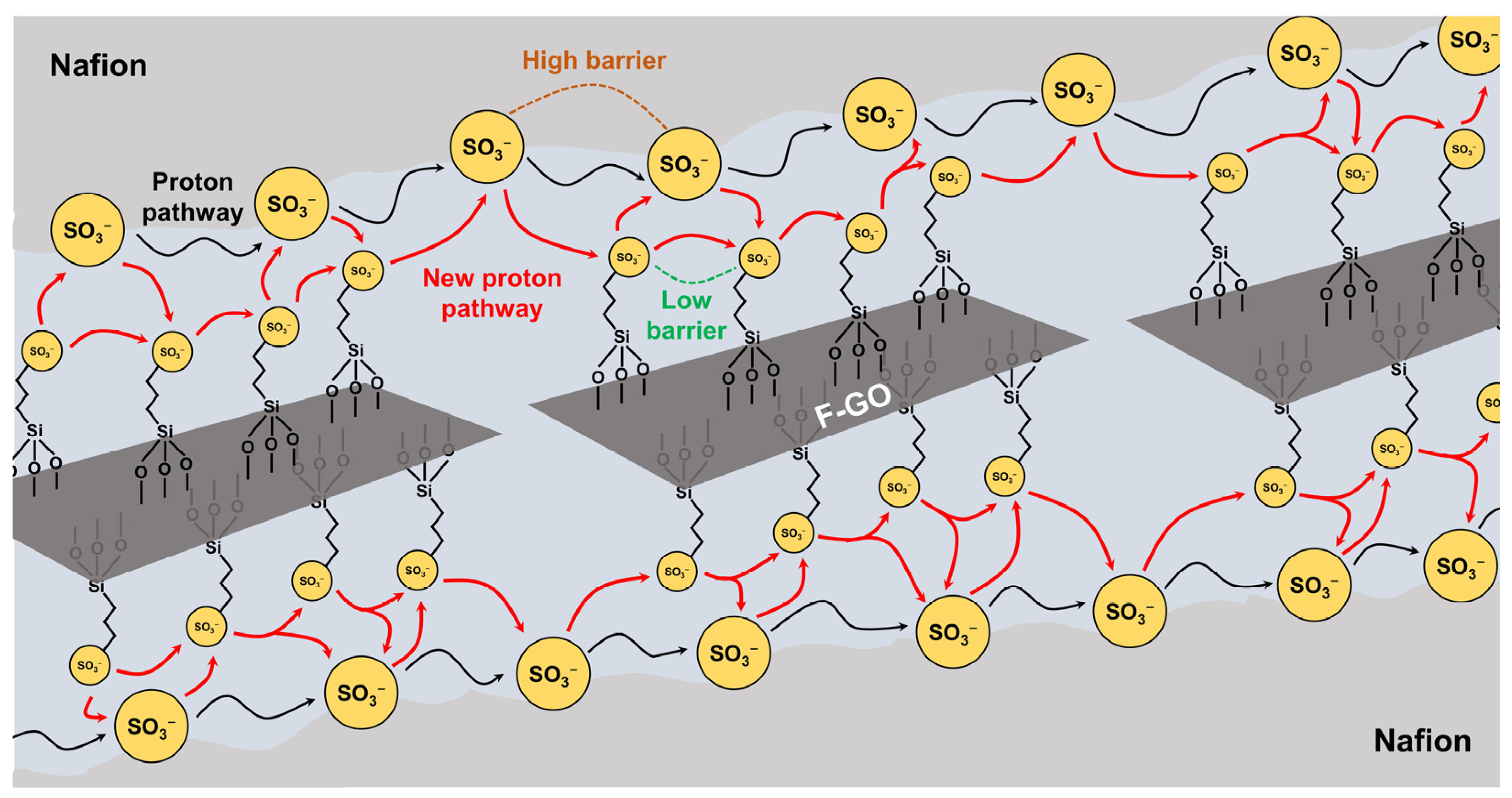 Ijms 23 14252 g008 Ijms 23 14252 g008