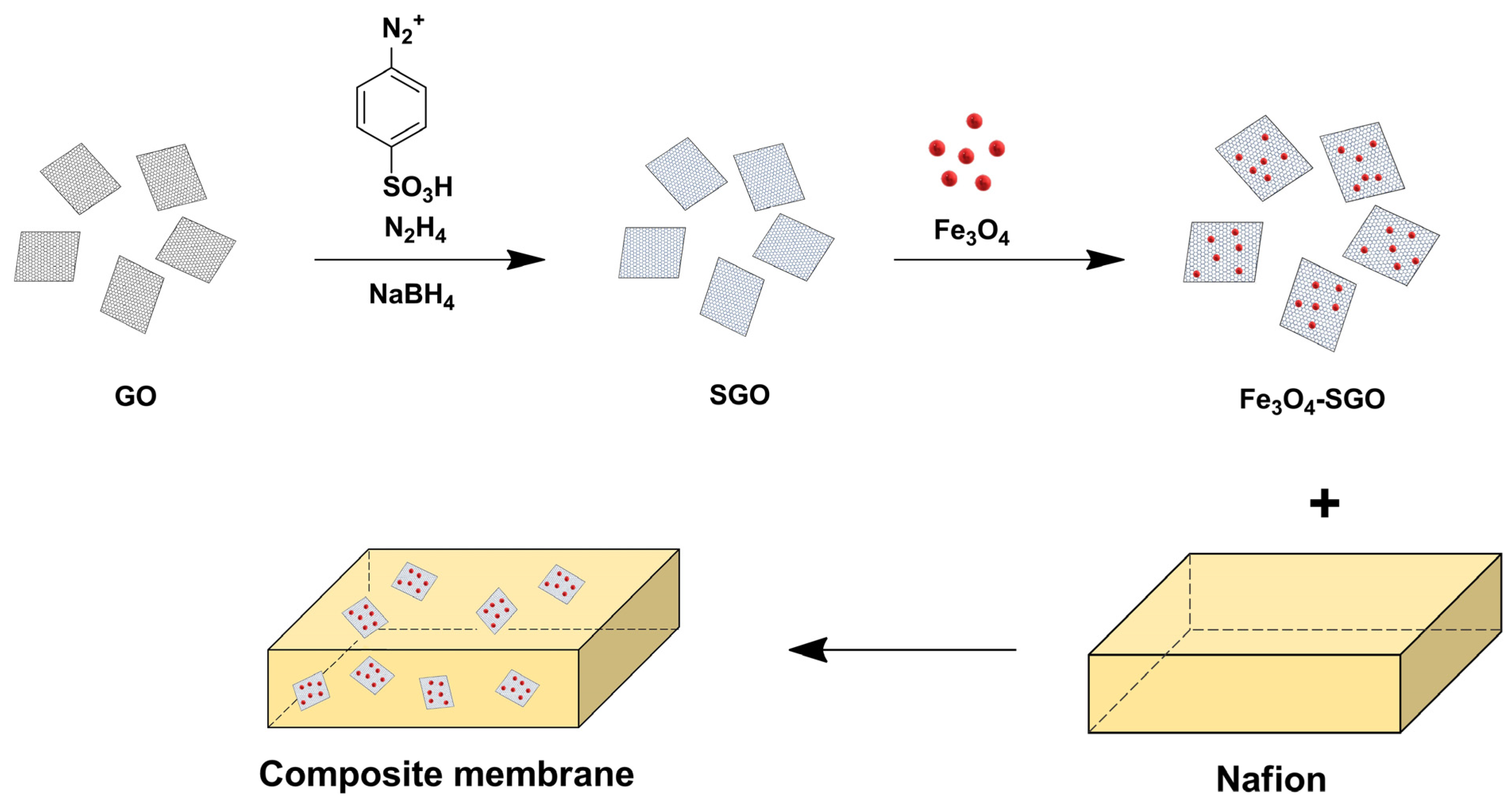 Ijms 23 14252 g009 Ijms 23 14252 g009