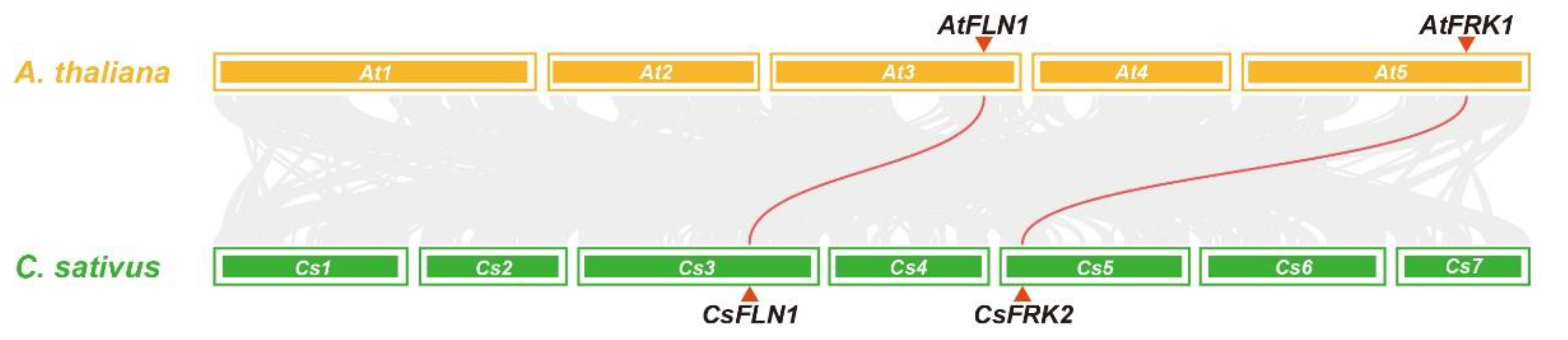 Ijms 23 14260 g003 Ijms 23 14260 g003