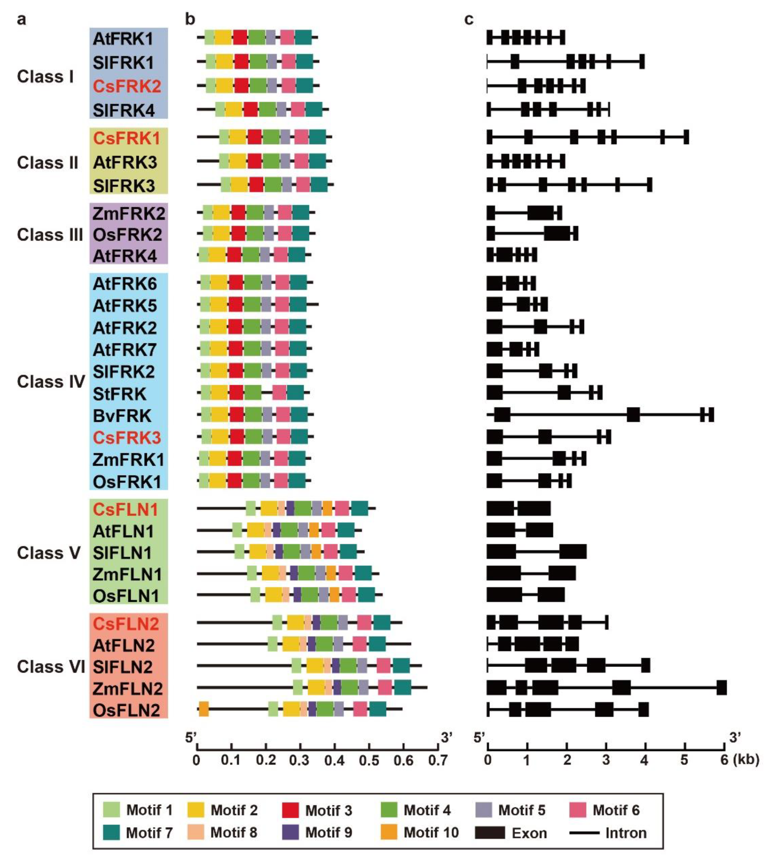 Ijms 23 14260 g004 Ijms 23 14260 g004