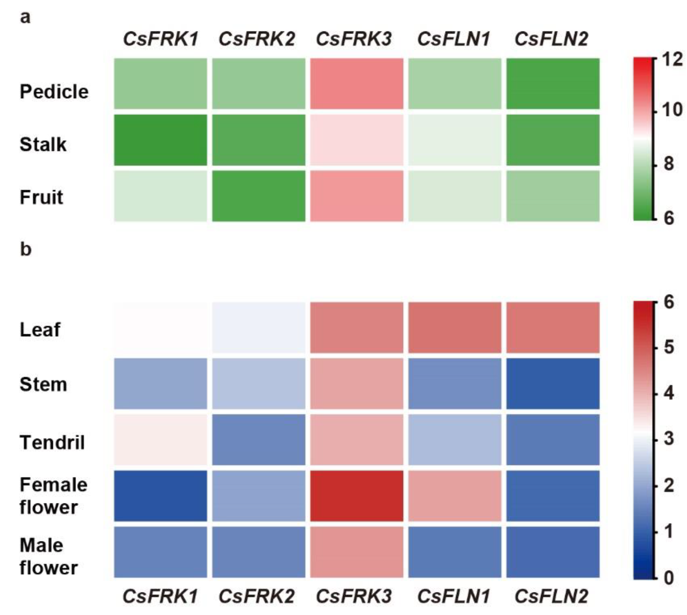 Ijms 23 14260 g006 Ijms 23 14260 g006