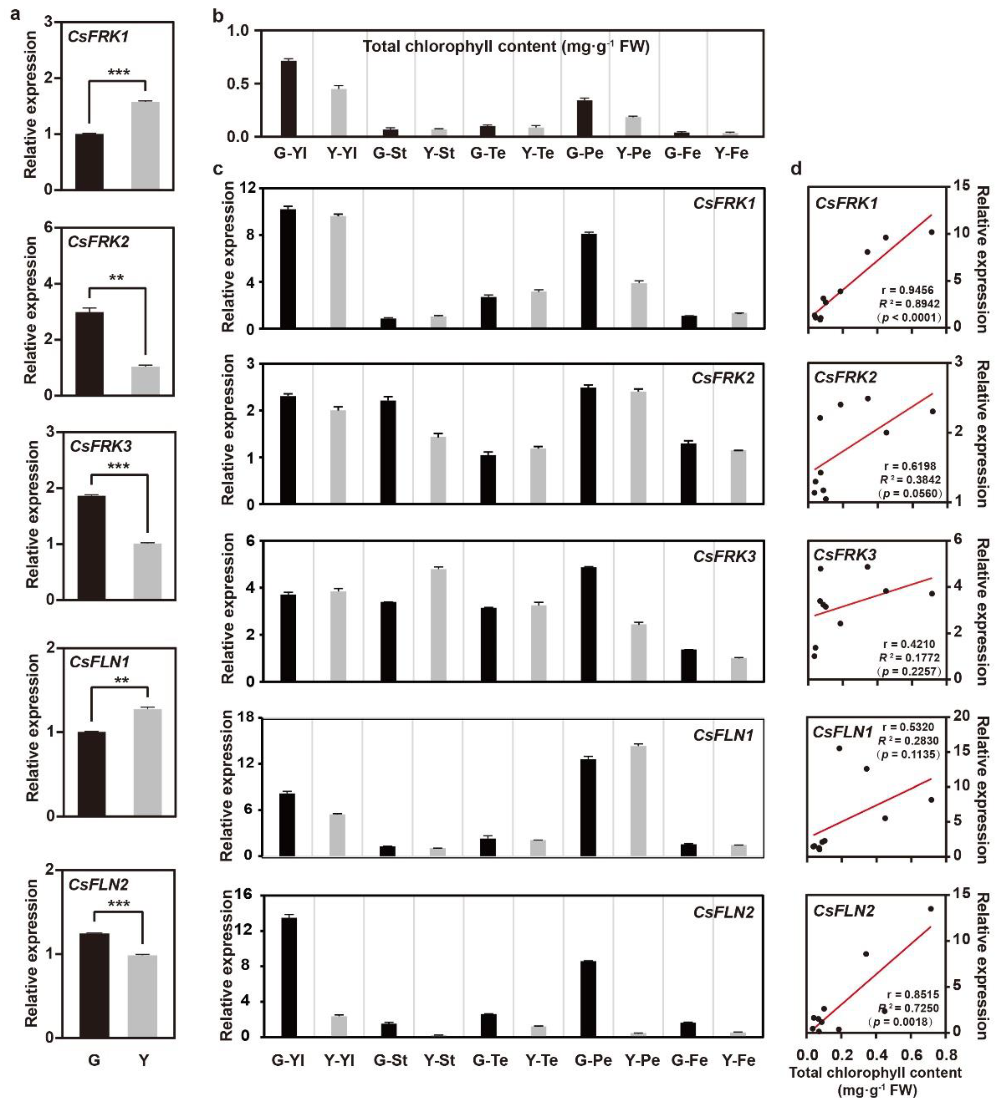 Ijms 23 14260 g007 Ijms 23 14260 g007