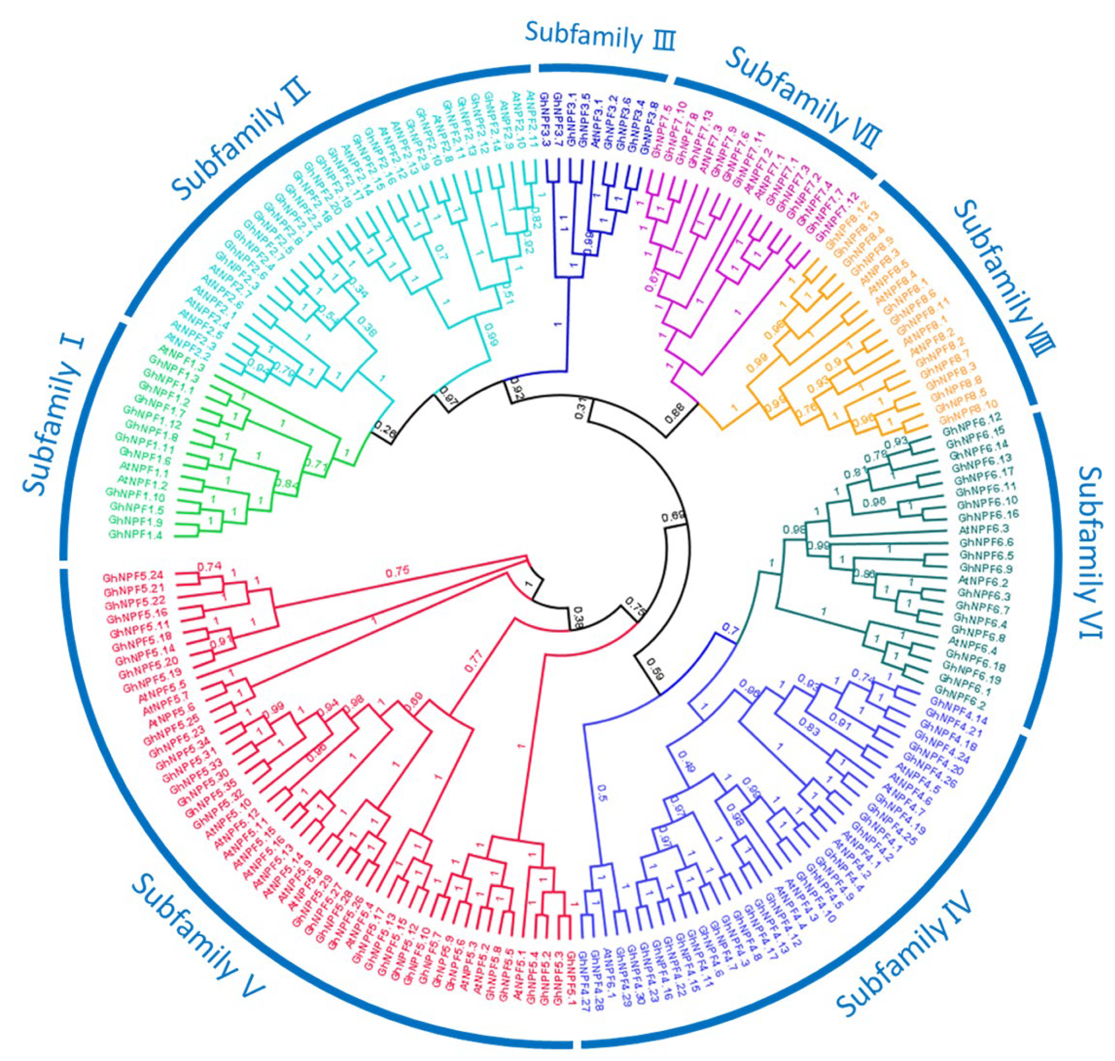 Ijms 23 14262 g001 Ijms 23 14262 g001