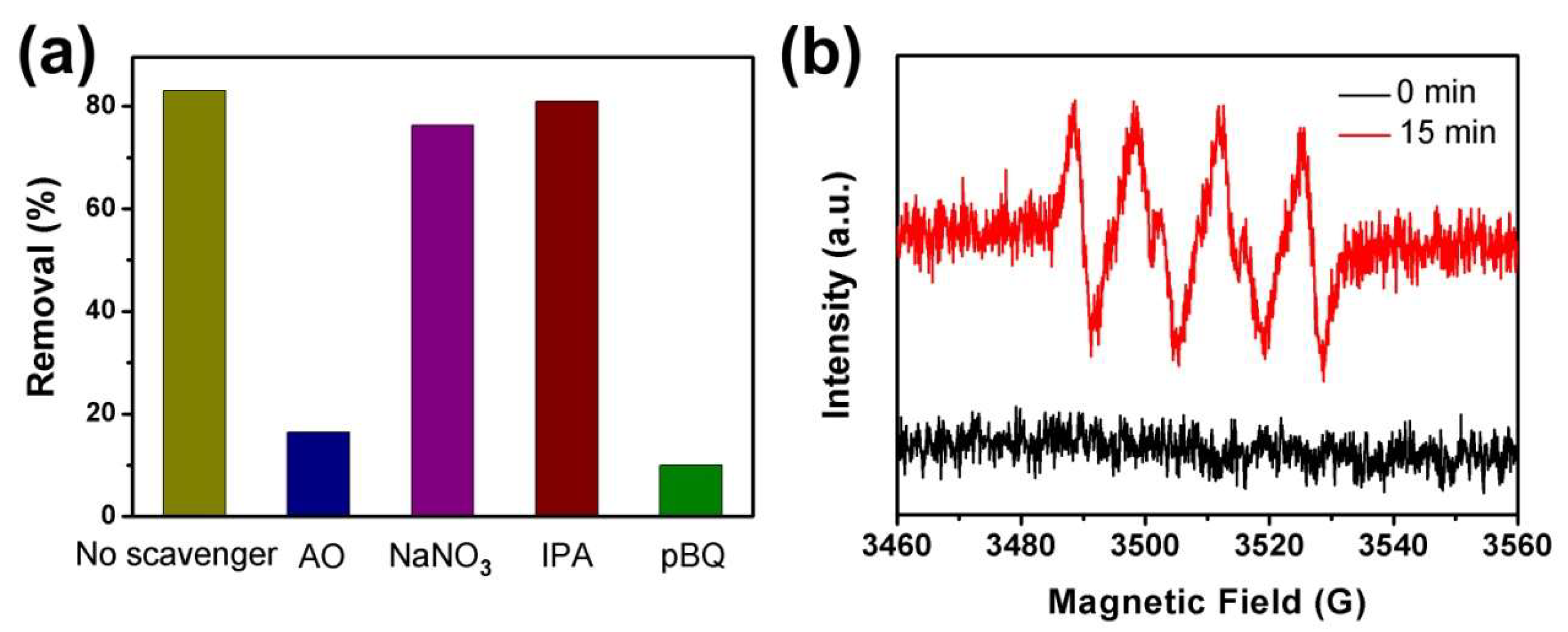 Ijms 23 14264 g007 Ijms 23 14264 g007