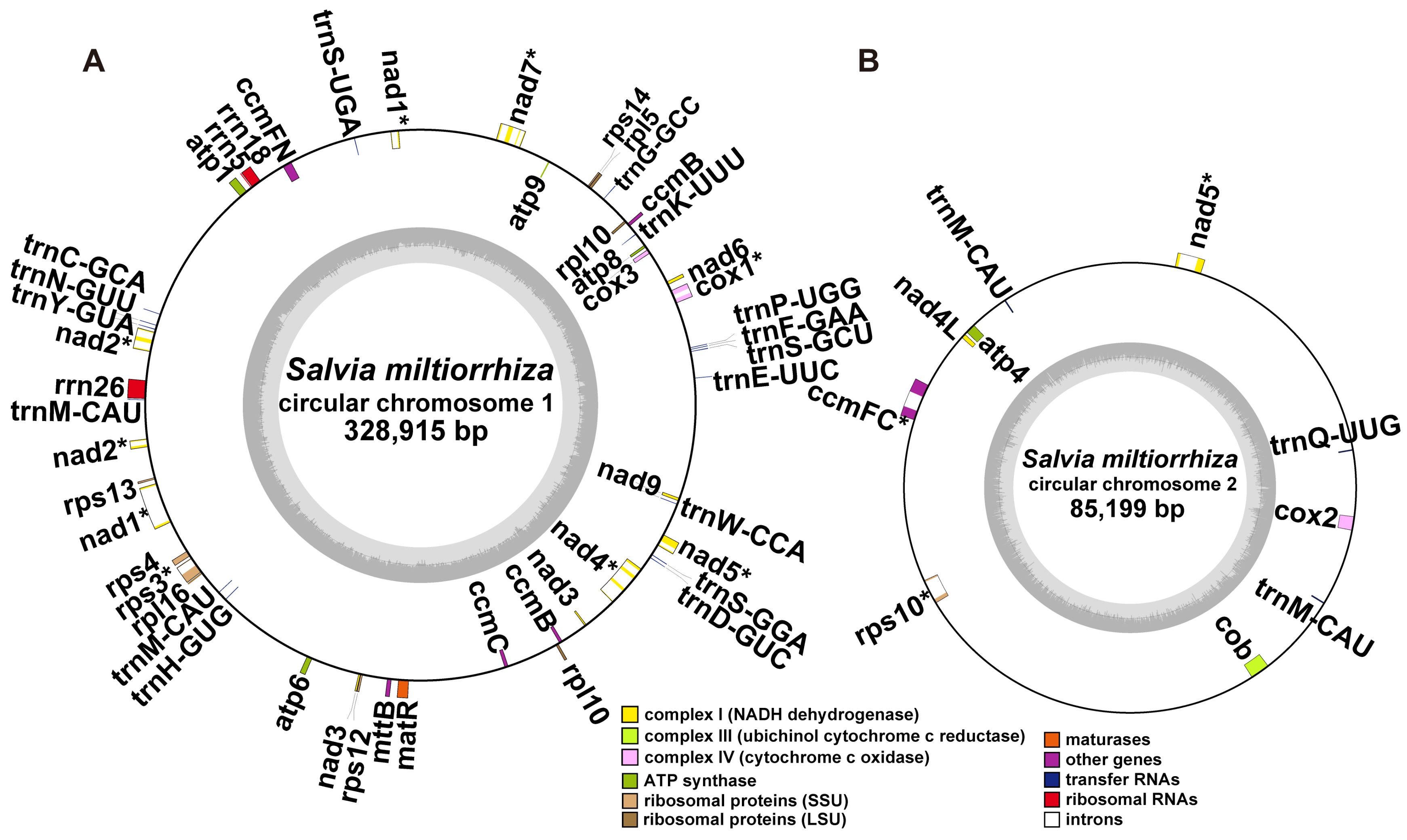 Ijms 23 14267 g002 Ijms 23 14267 g002