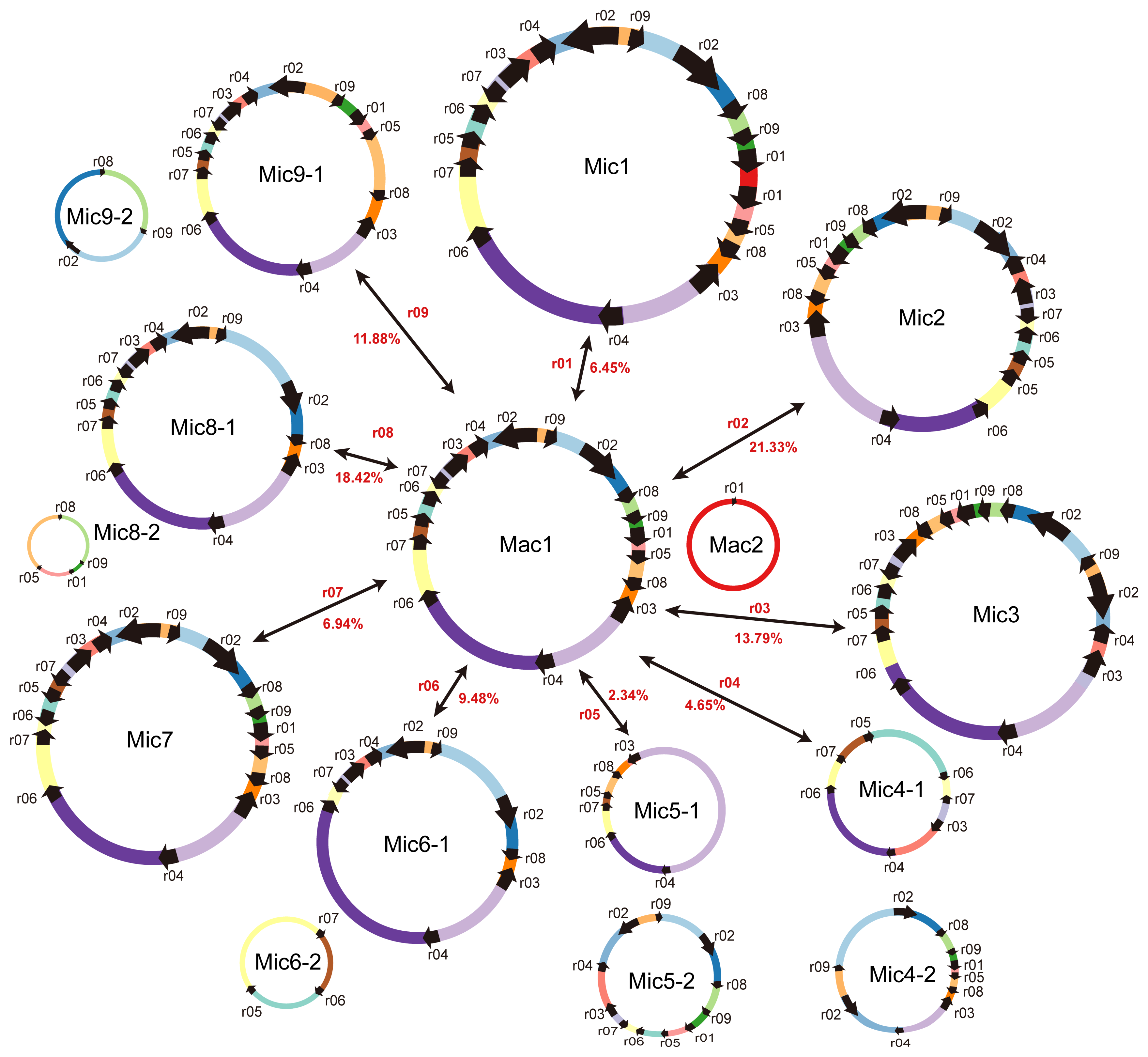 Ijms 23 14267 g005 Ijms 23 14267 g005