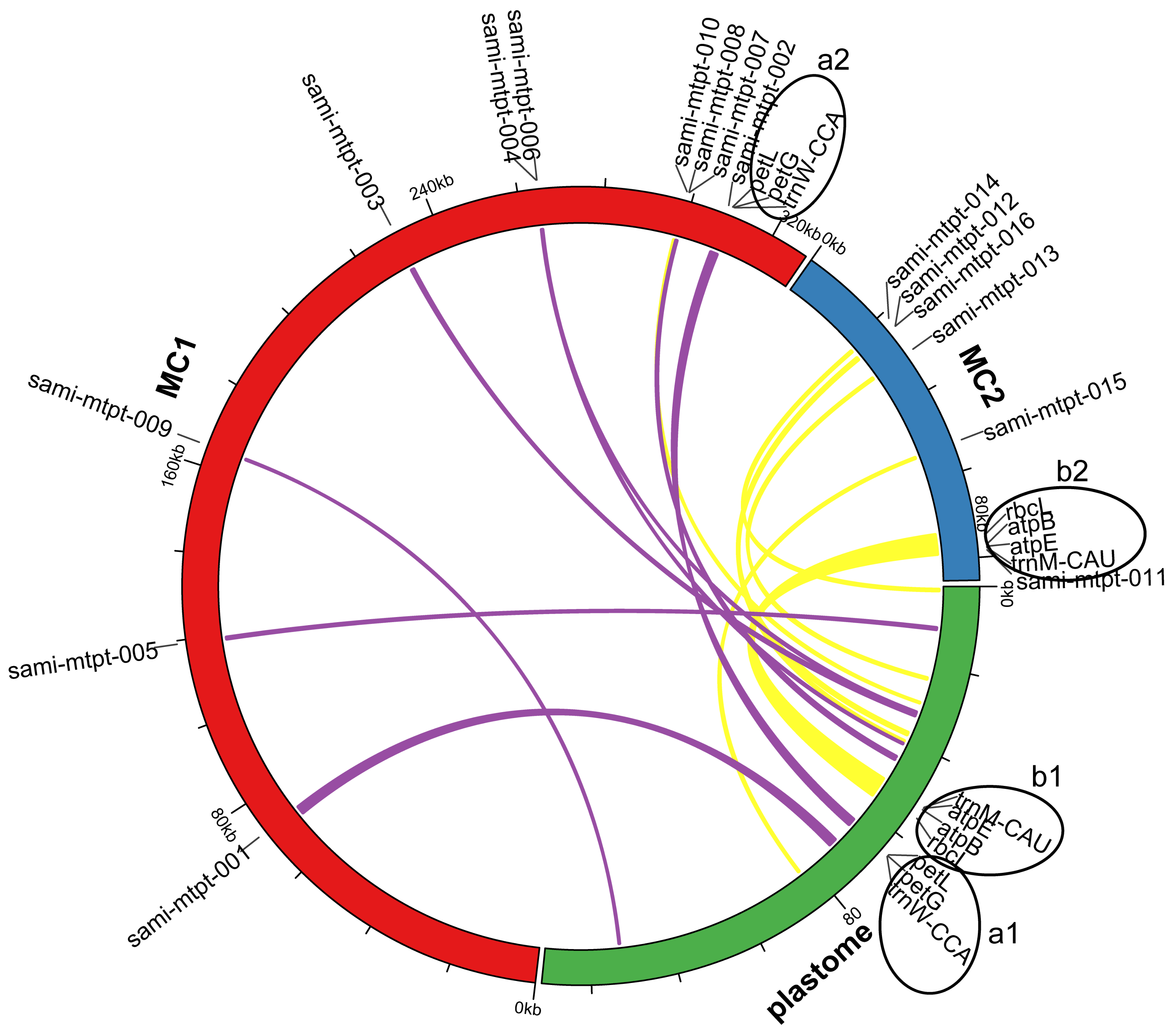 Ijms 23 14267 g006 Ijms 23 14267 g006